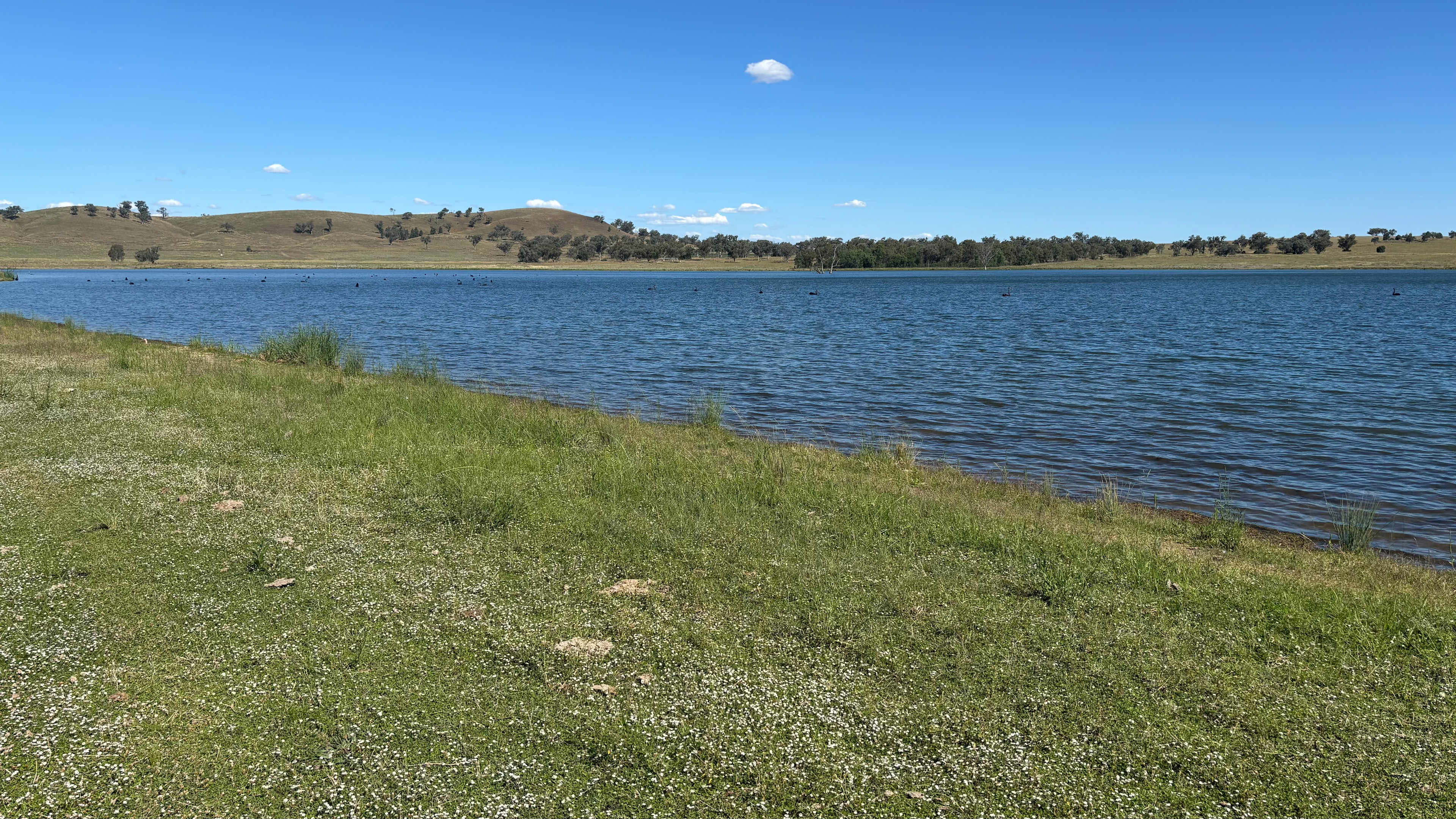 Myall Springs Lake