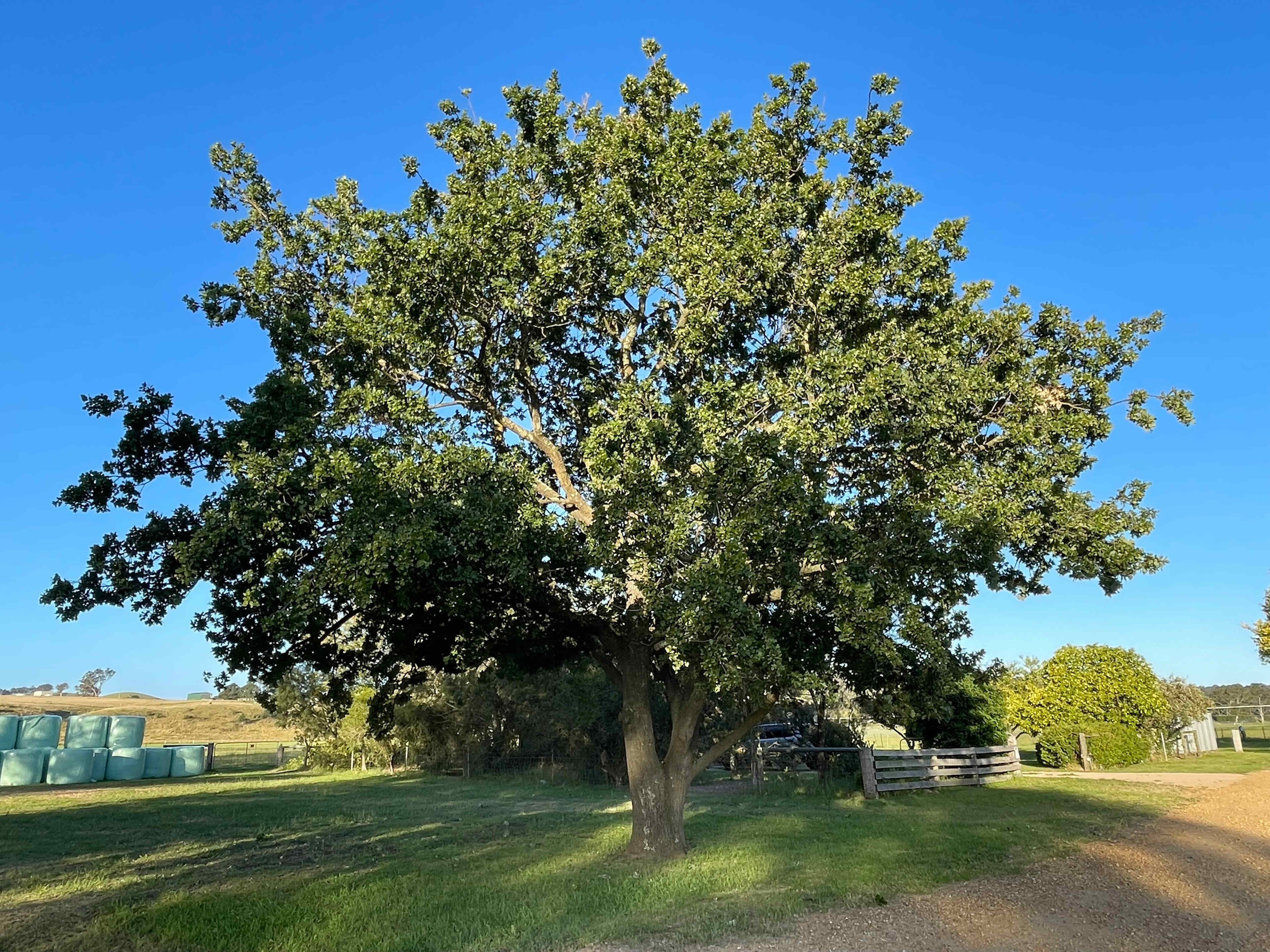 Grassvale Farm Retreat EST. 1900