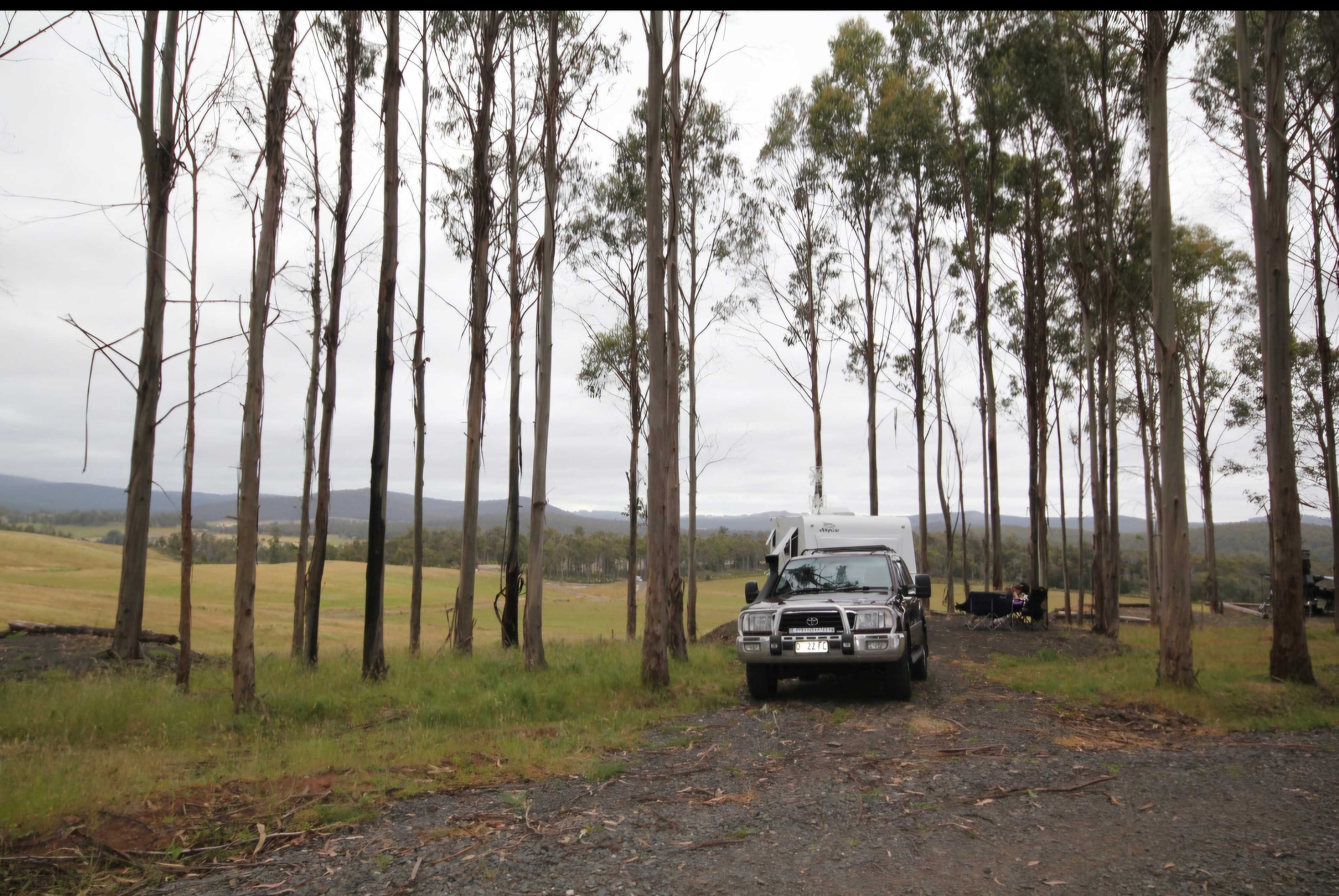 Mabel's Paddock RV Farm Stay