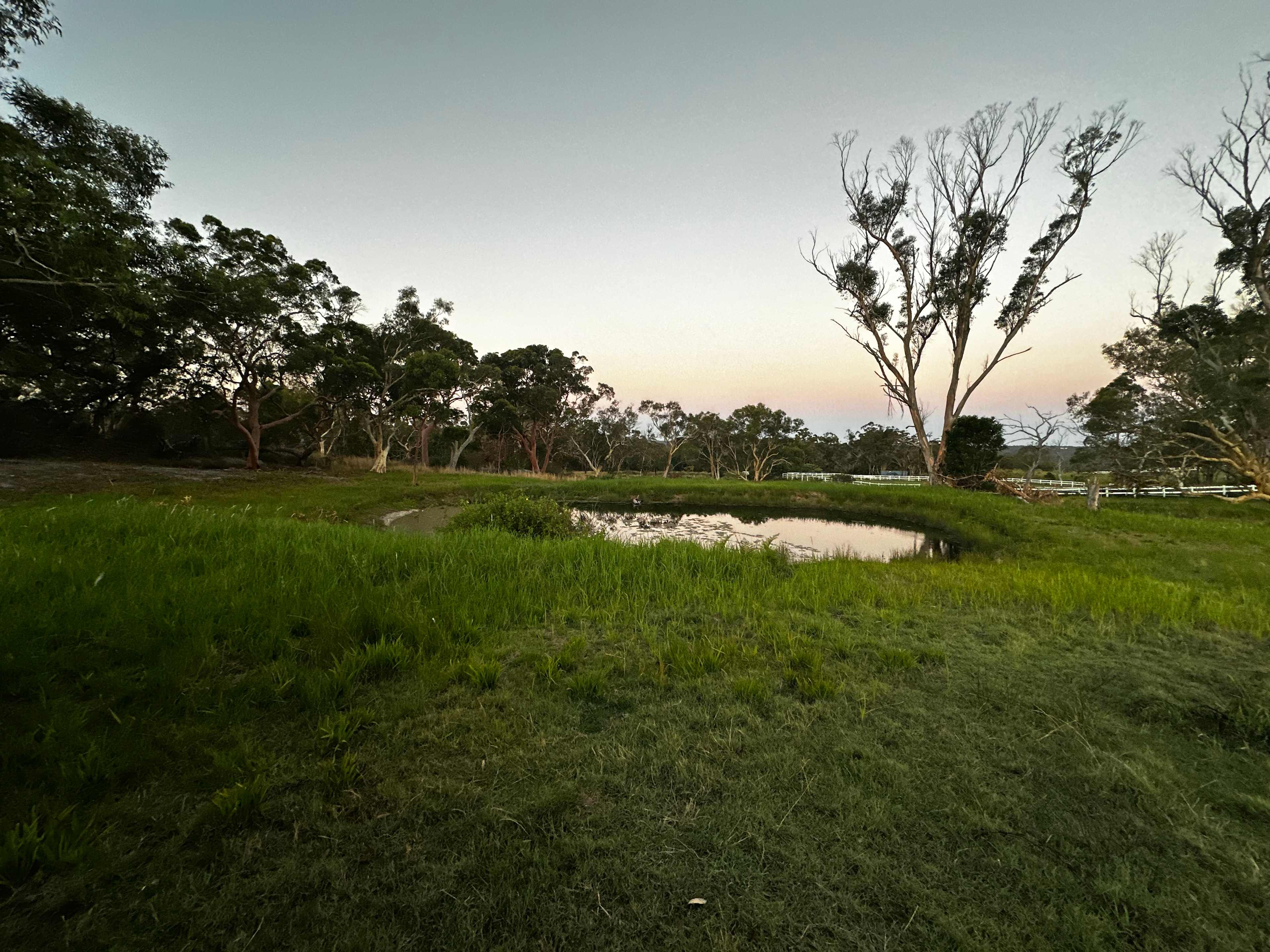 Beautiful dam to camp next to ducks came to visit as well