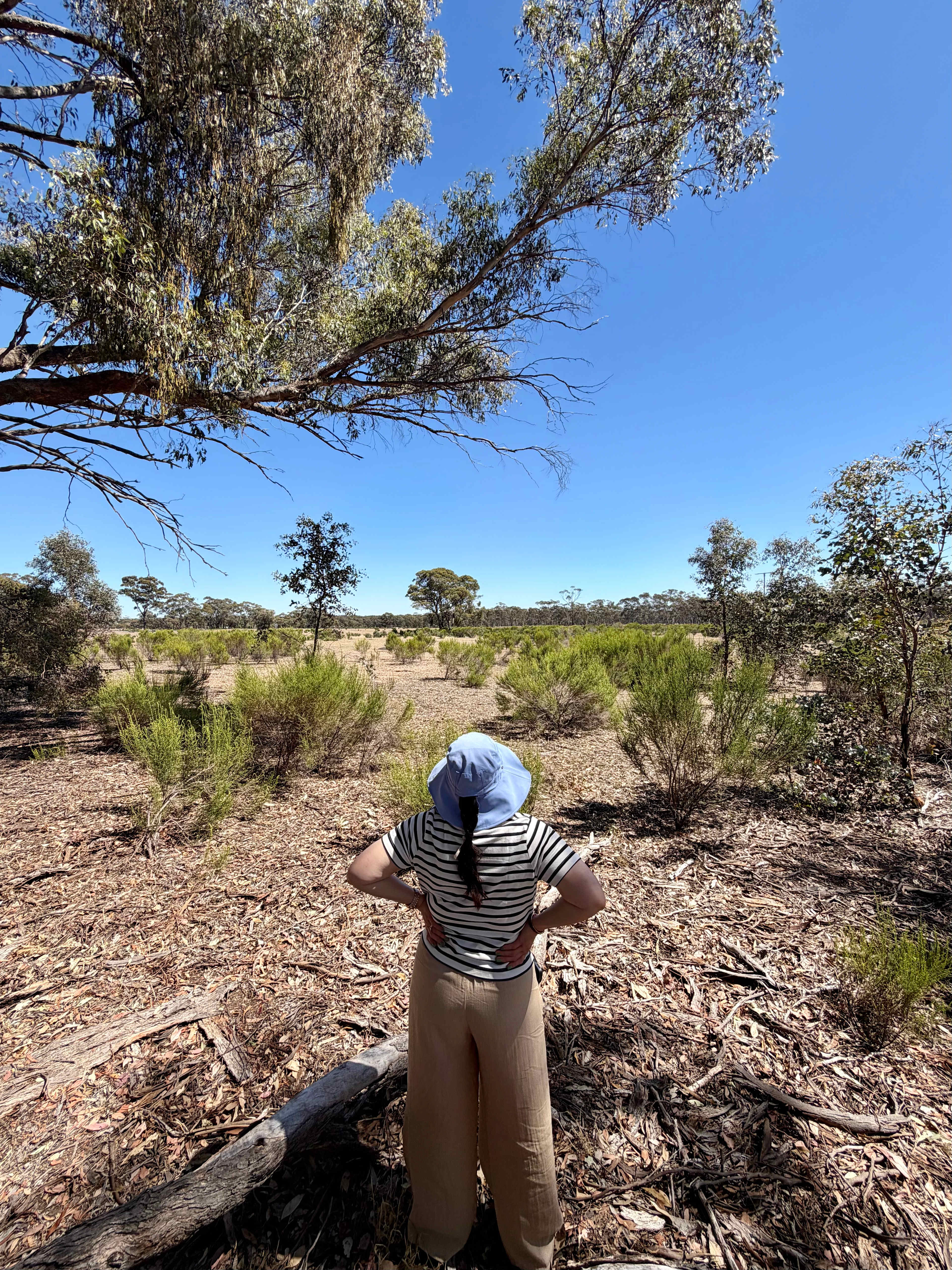 Somerville Park   (Bendigo)