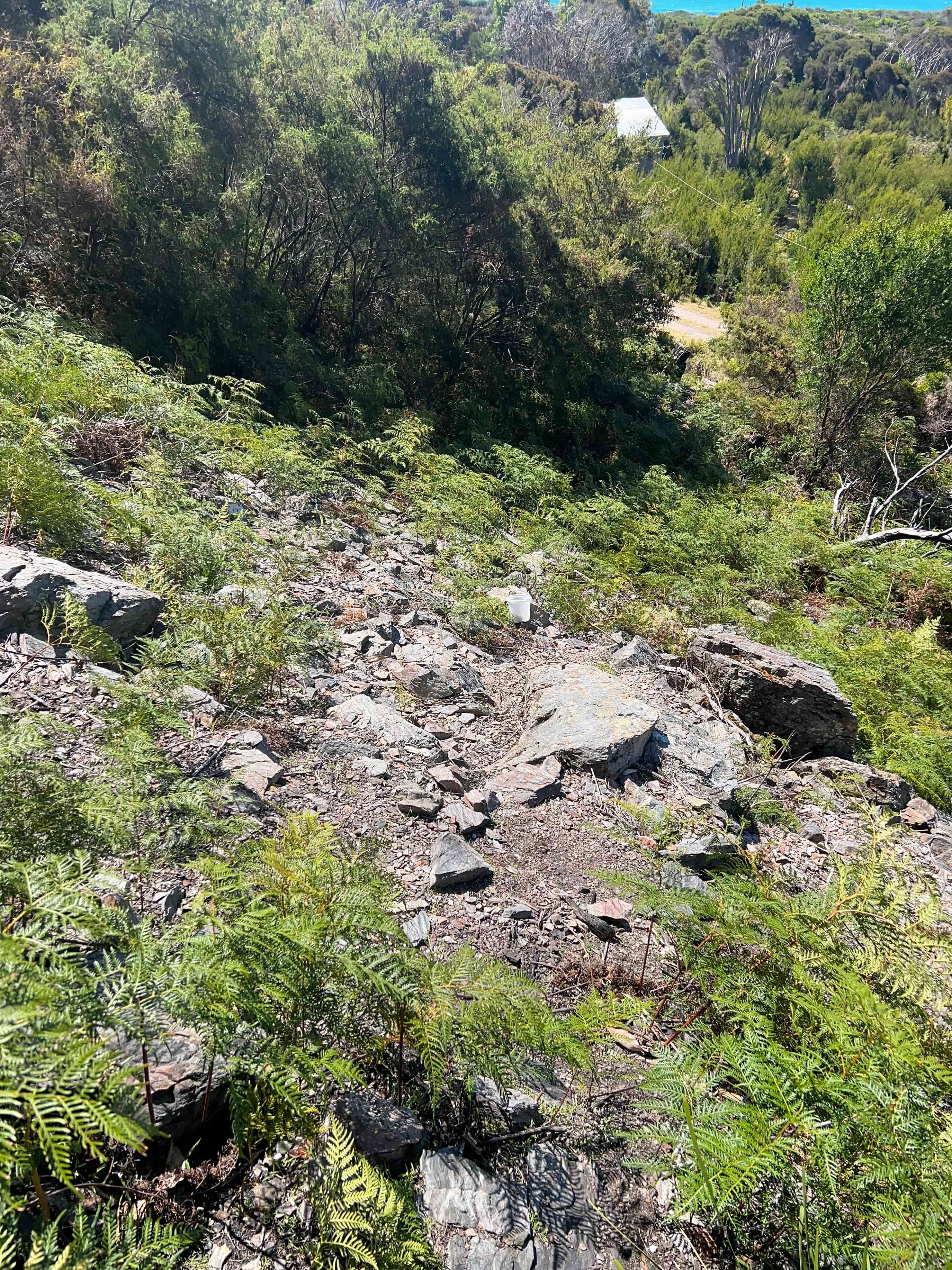 The Y at Badger Head