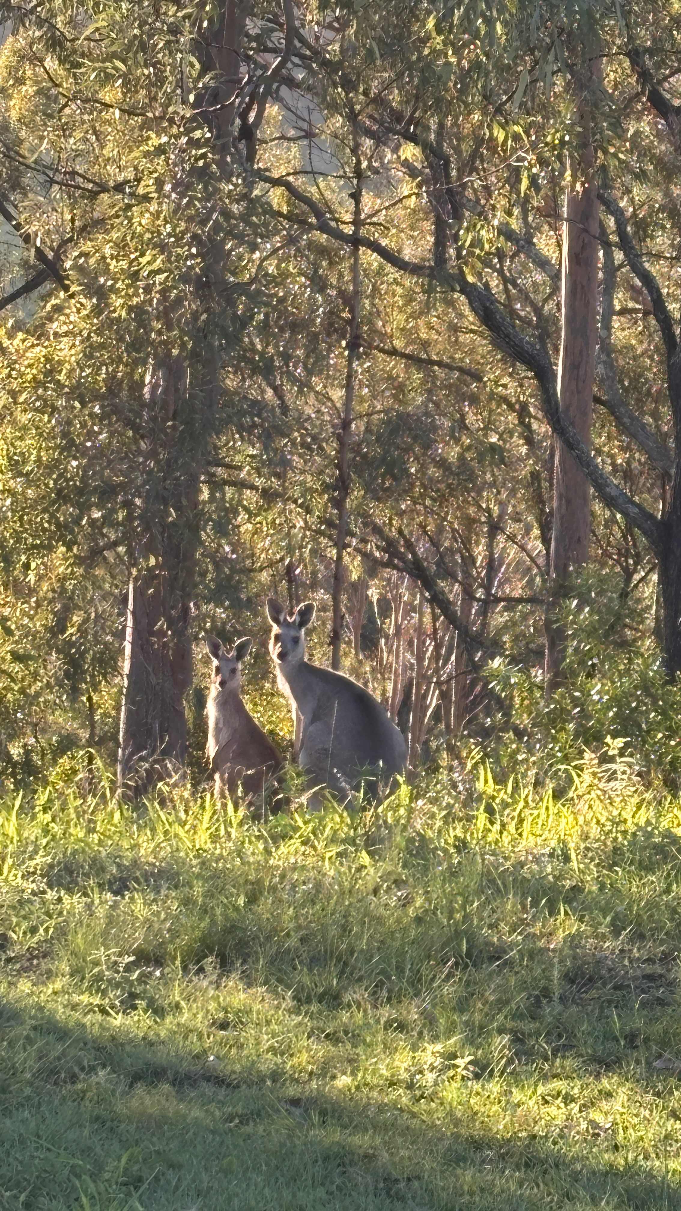 Pointro Bunkhouse and Campground