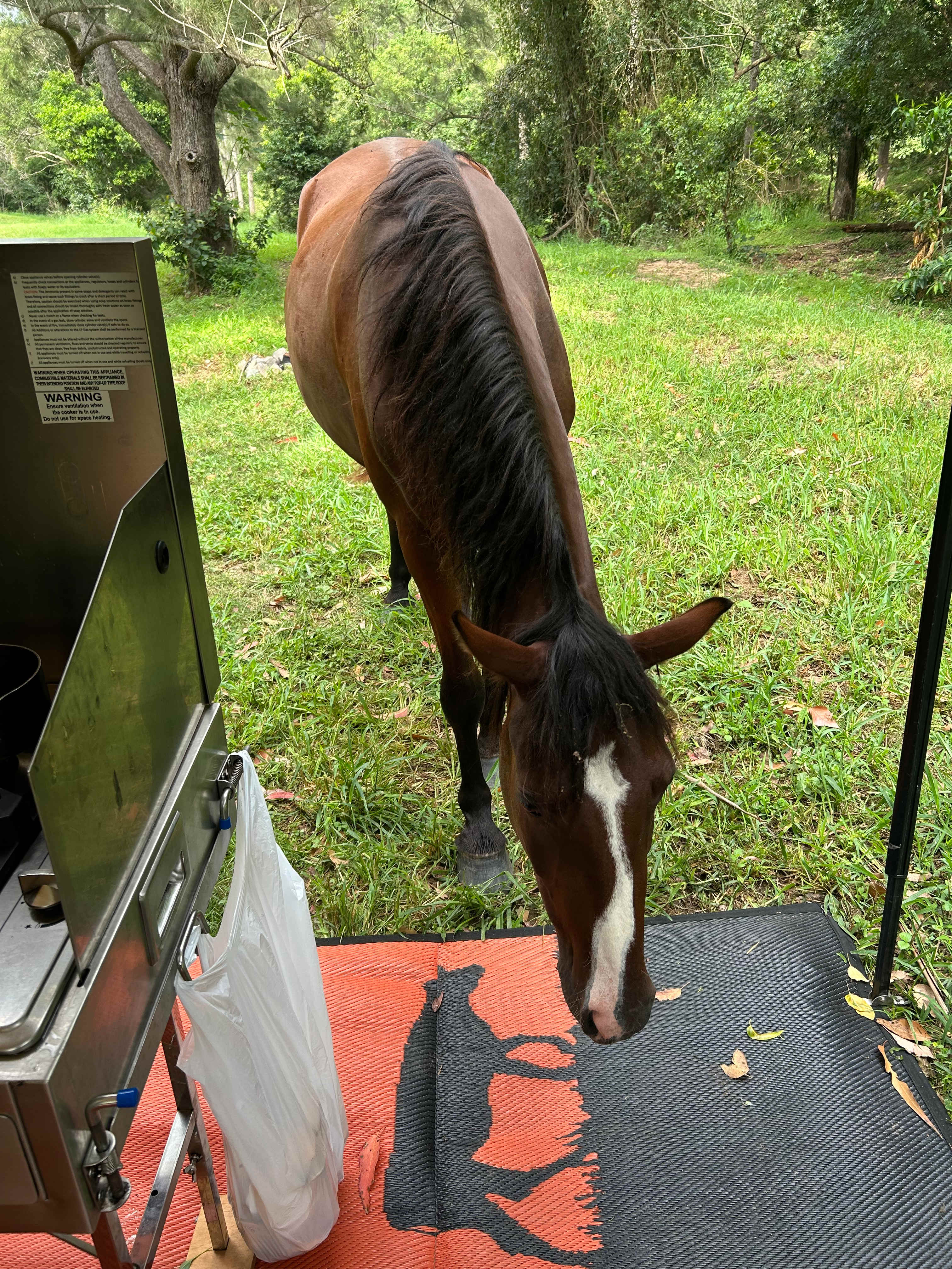 Conondale Valley Farm