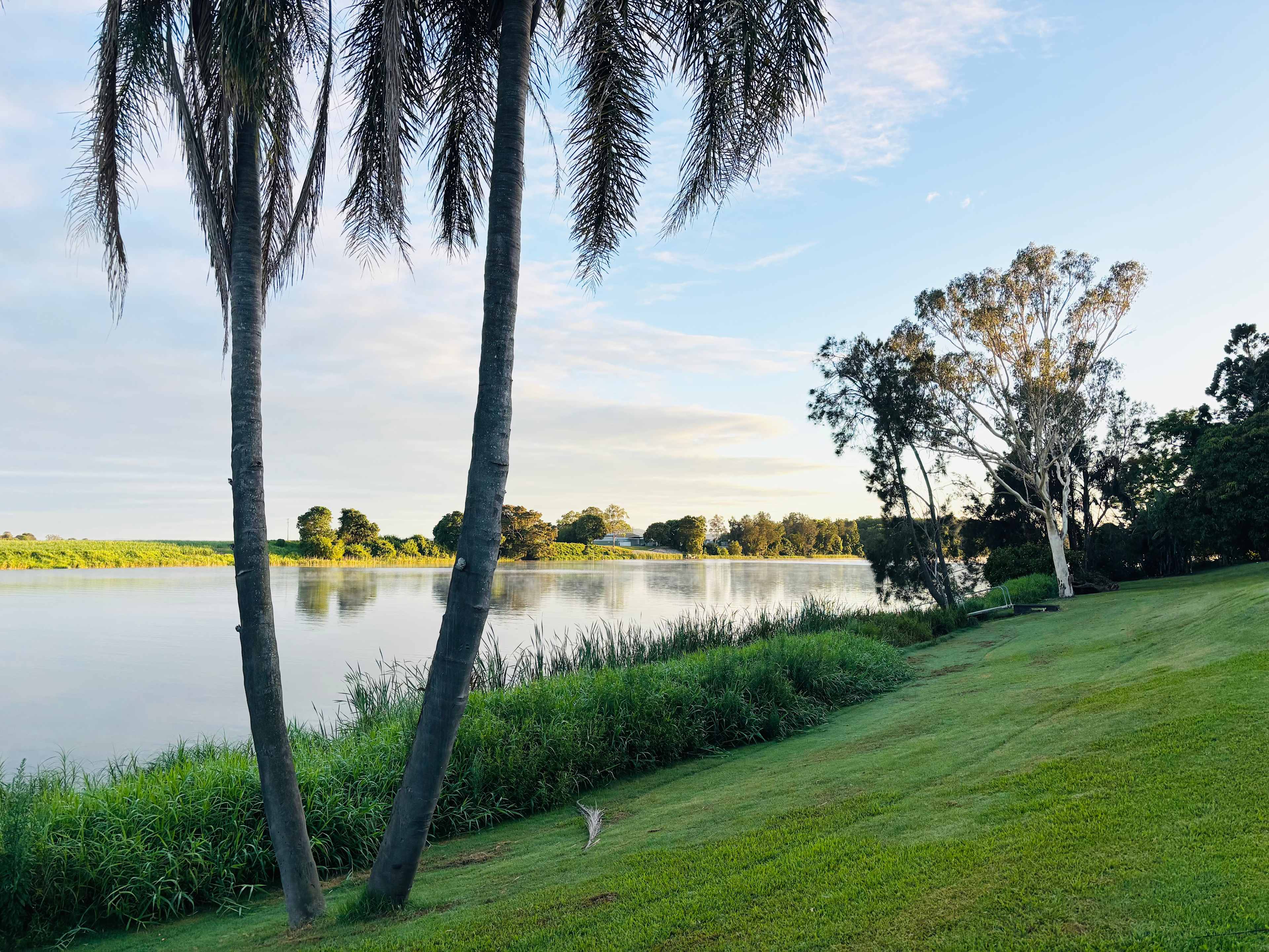 Morning on the river 