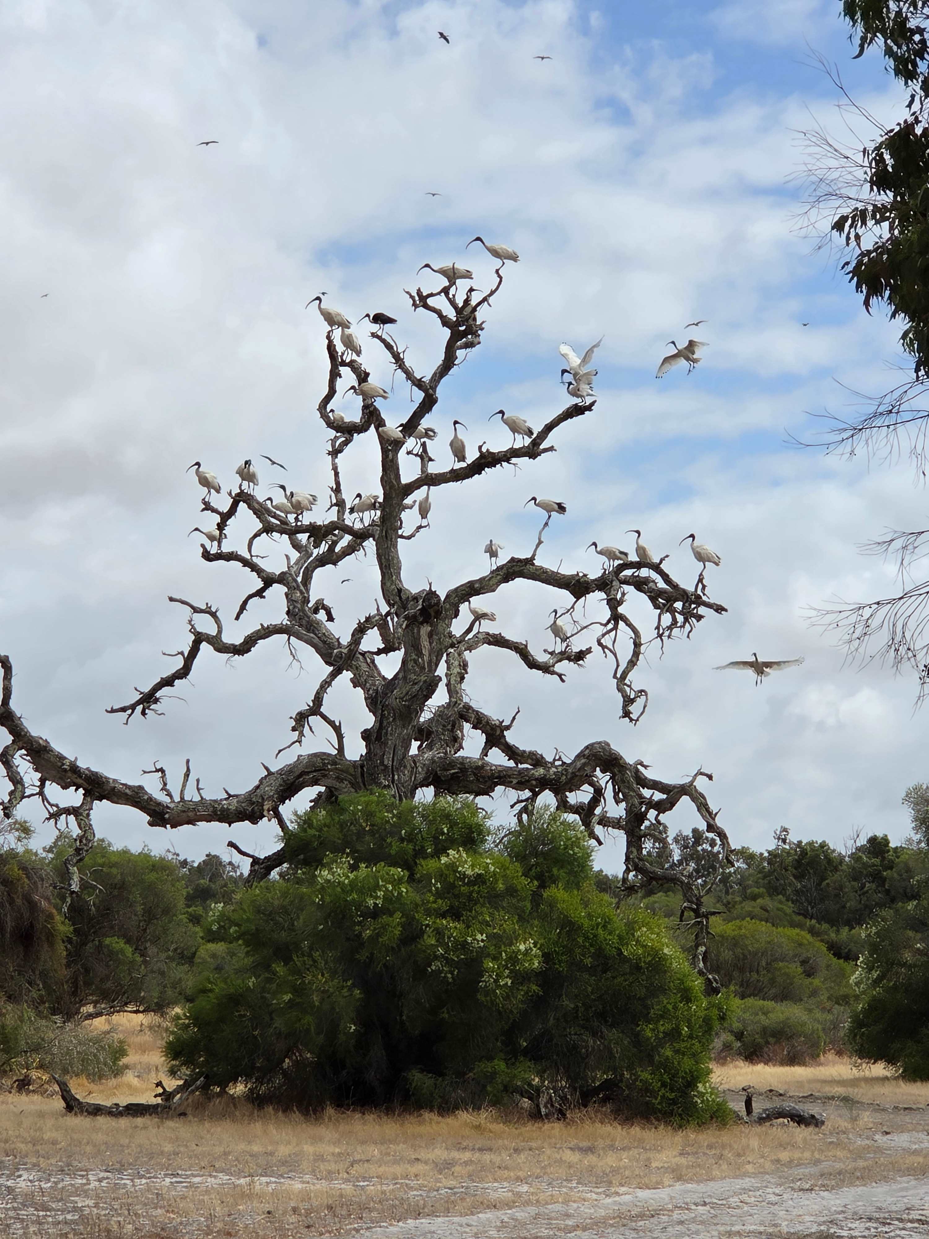 Herron Point Farm Stay