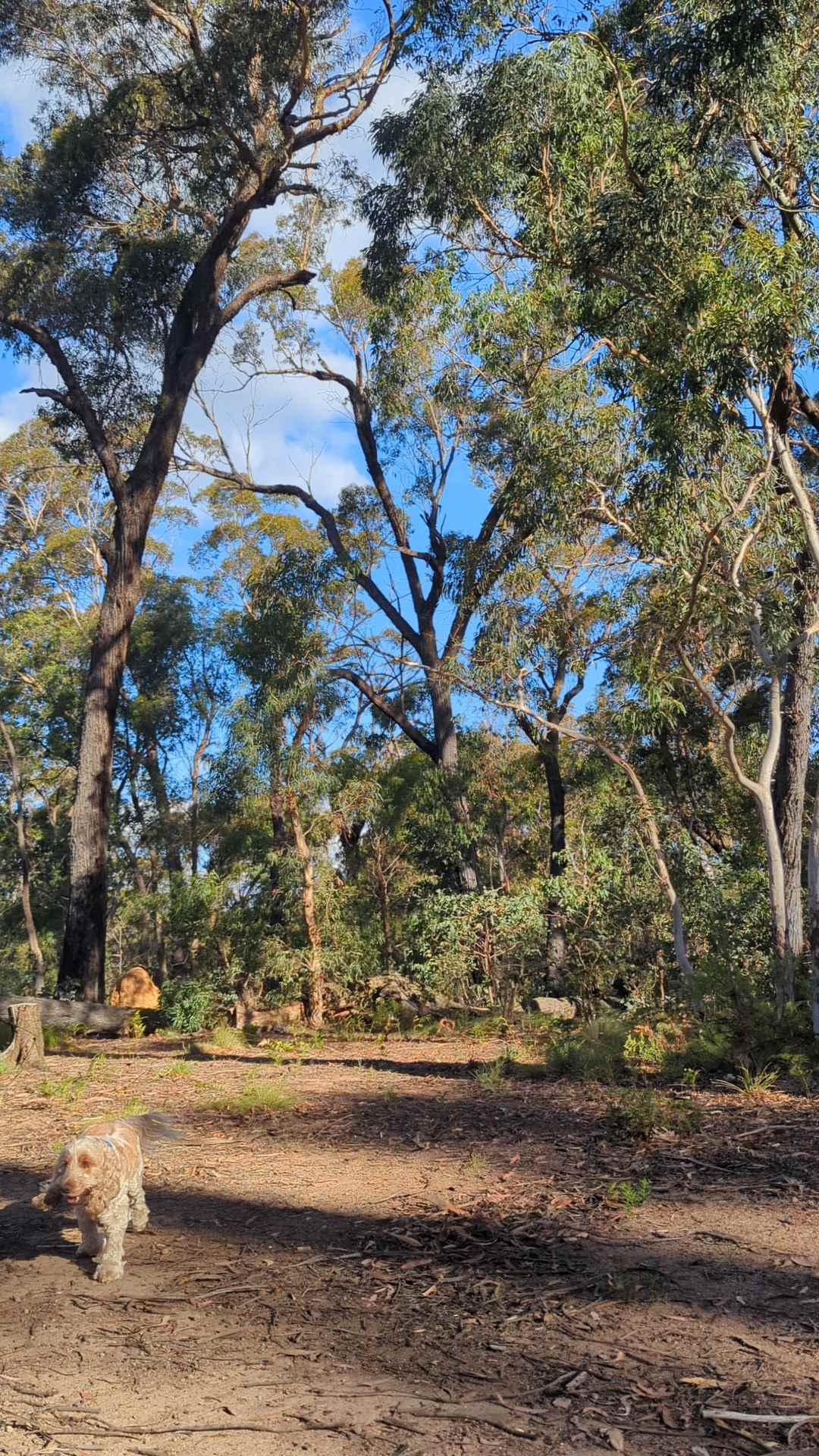 Monastery of 11 Strings