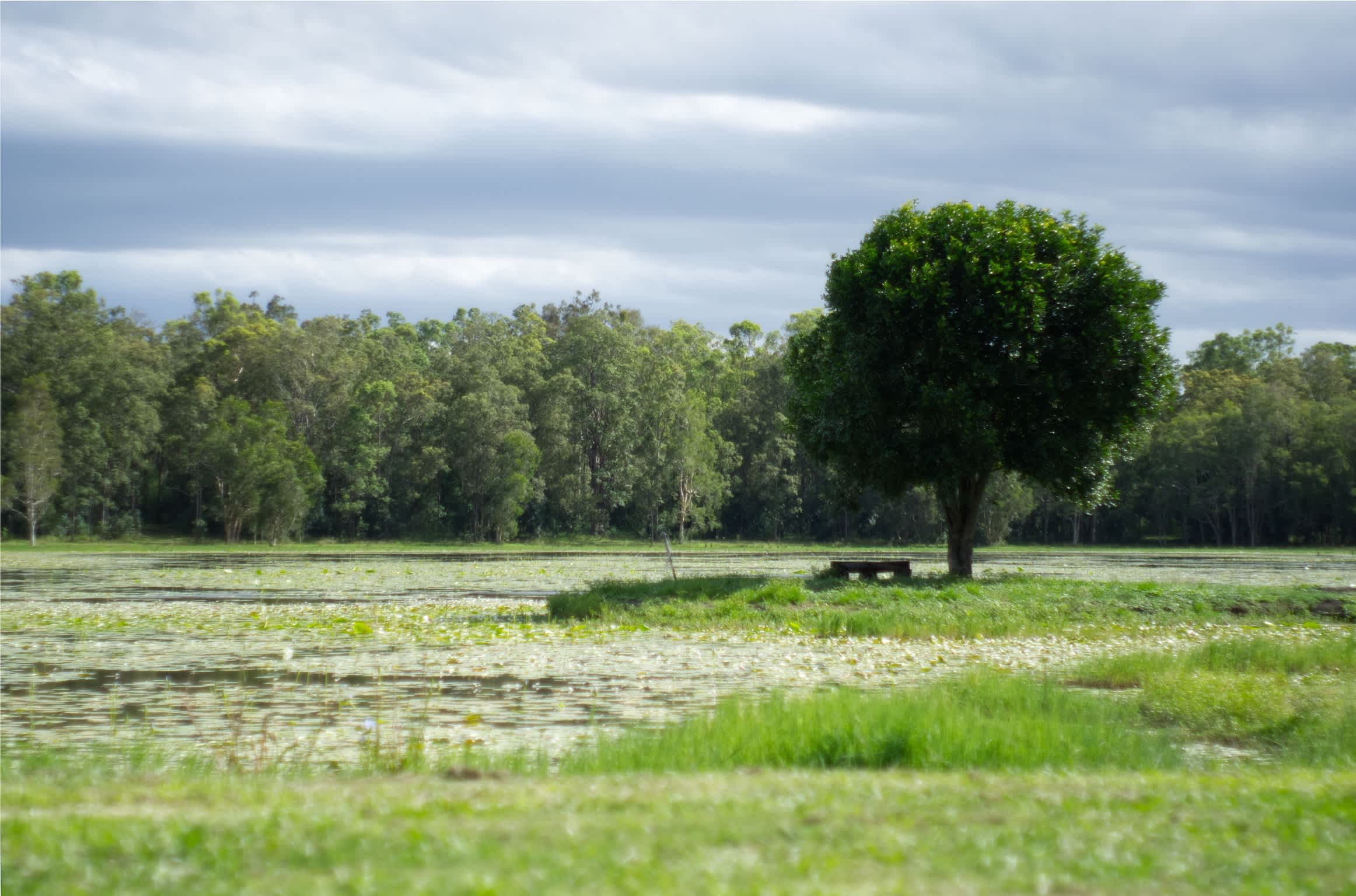 Sylva Lagoons Primitive Bush Camp