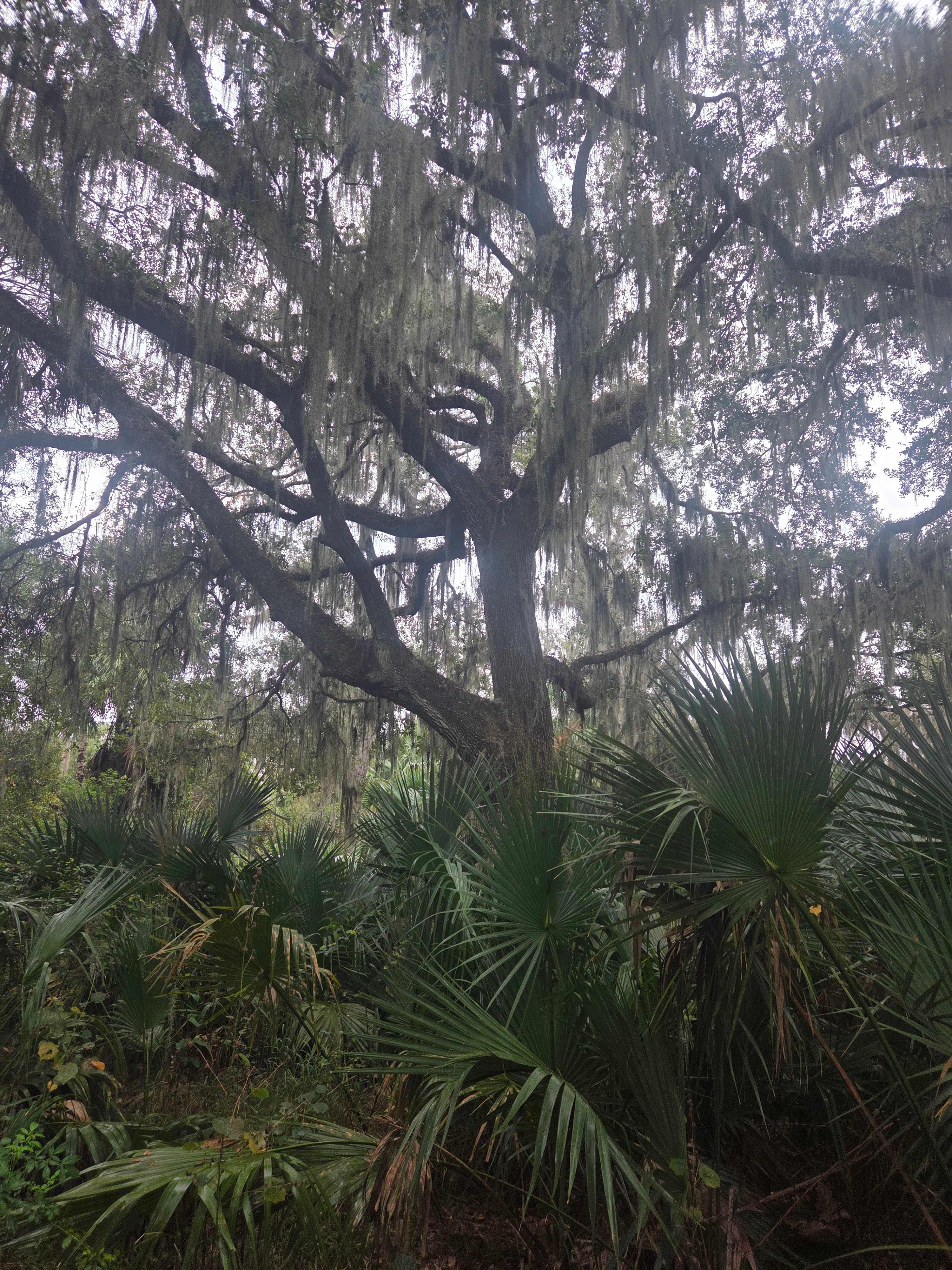 North Shore Relic Ranch