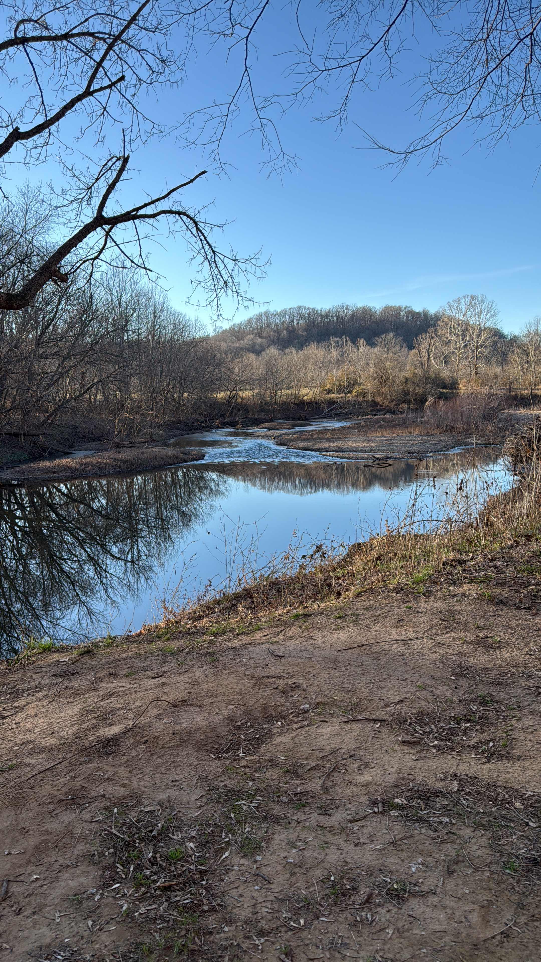 Illinois River Paradise | 60 Acres