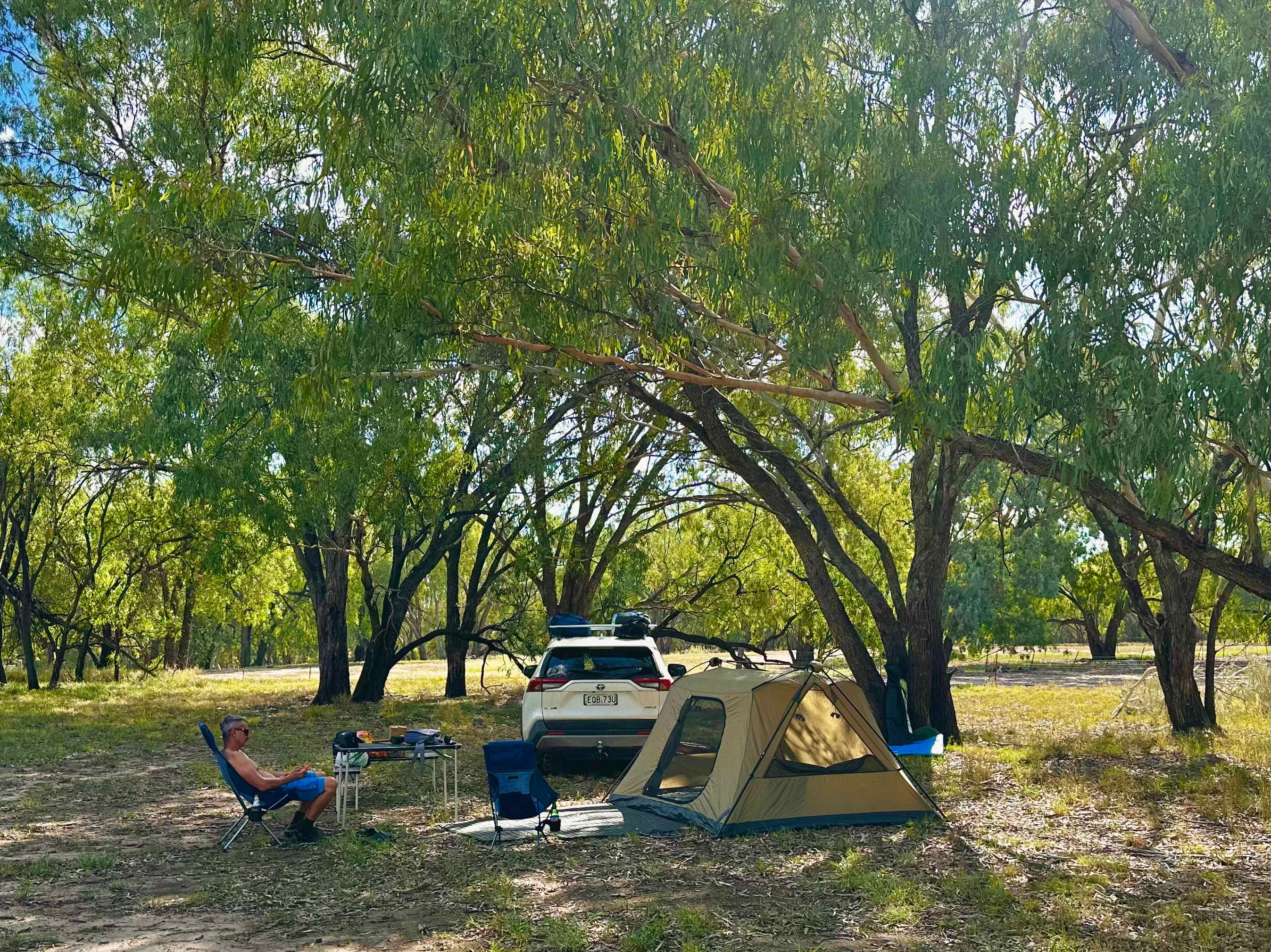 Peaceful under the trees