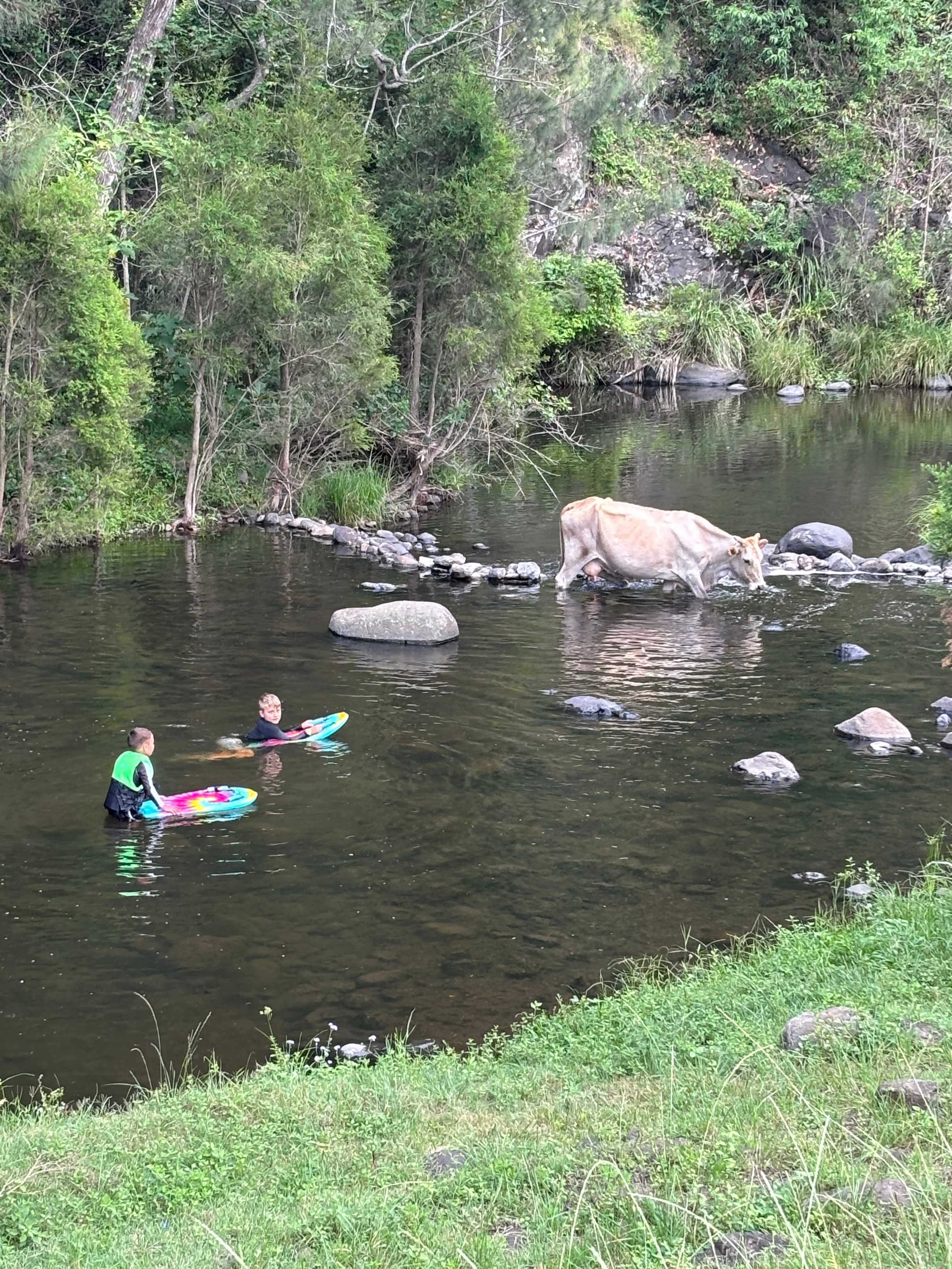 Sarabah Creek Camping