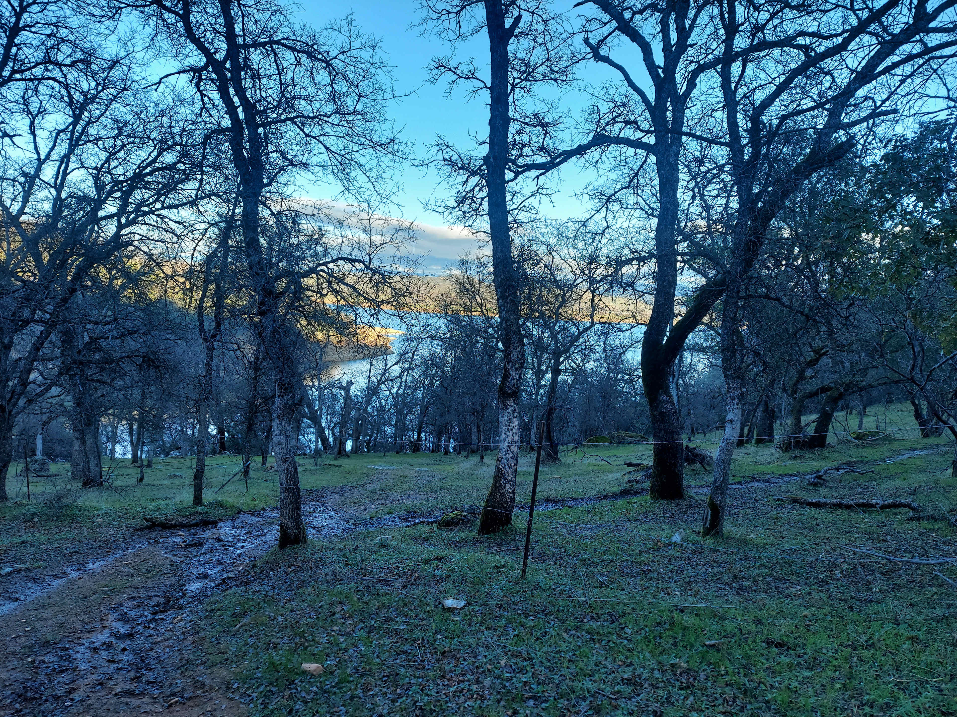 The path down to the lake