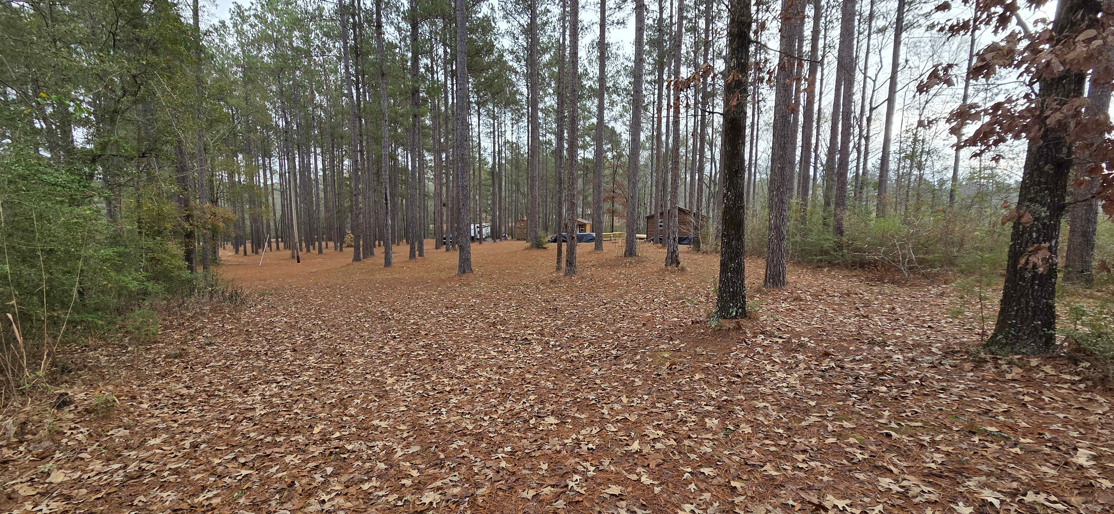 Missihippie Camping and Berries