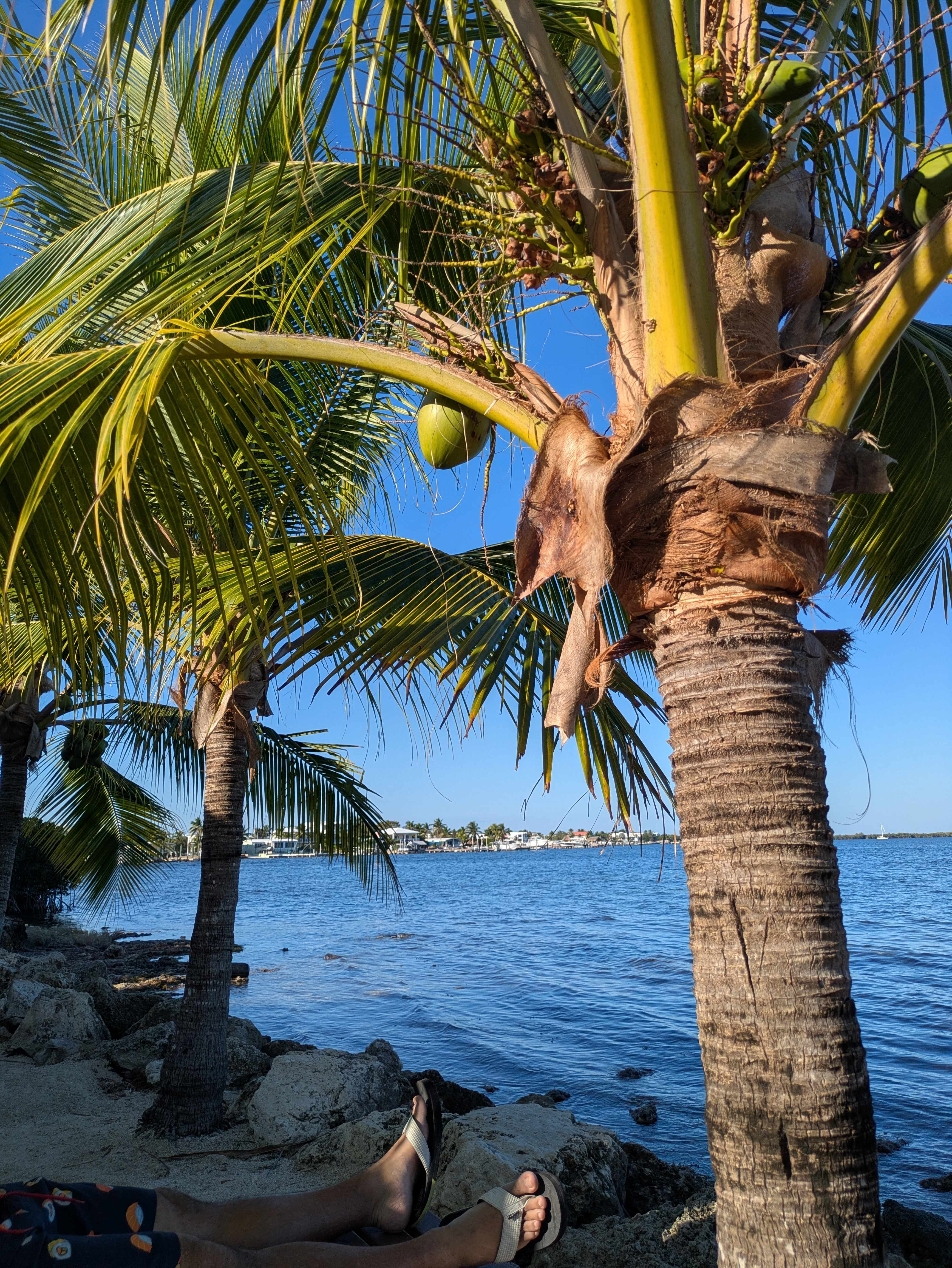 Kings Kamp RV Park and Marina