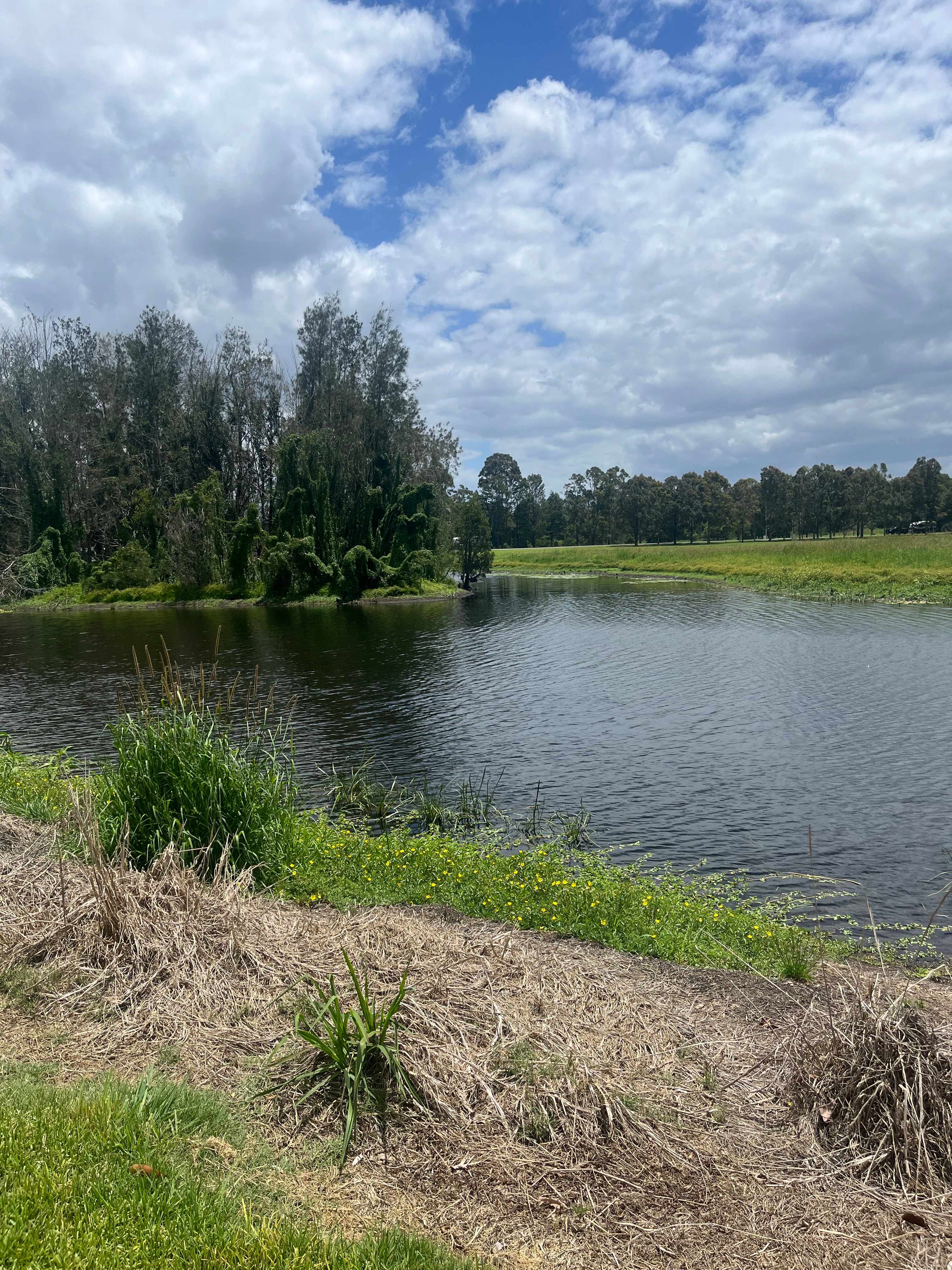 Stoney Park care of Dennis Stone