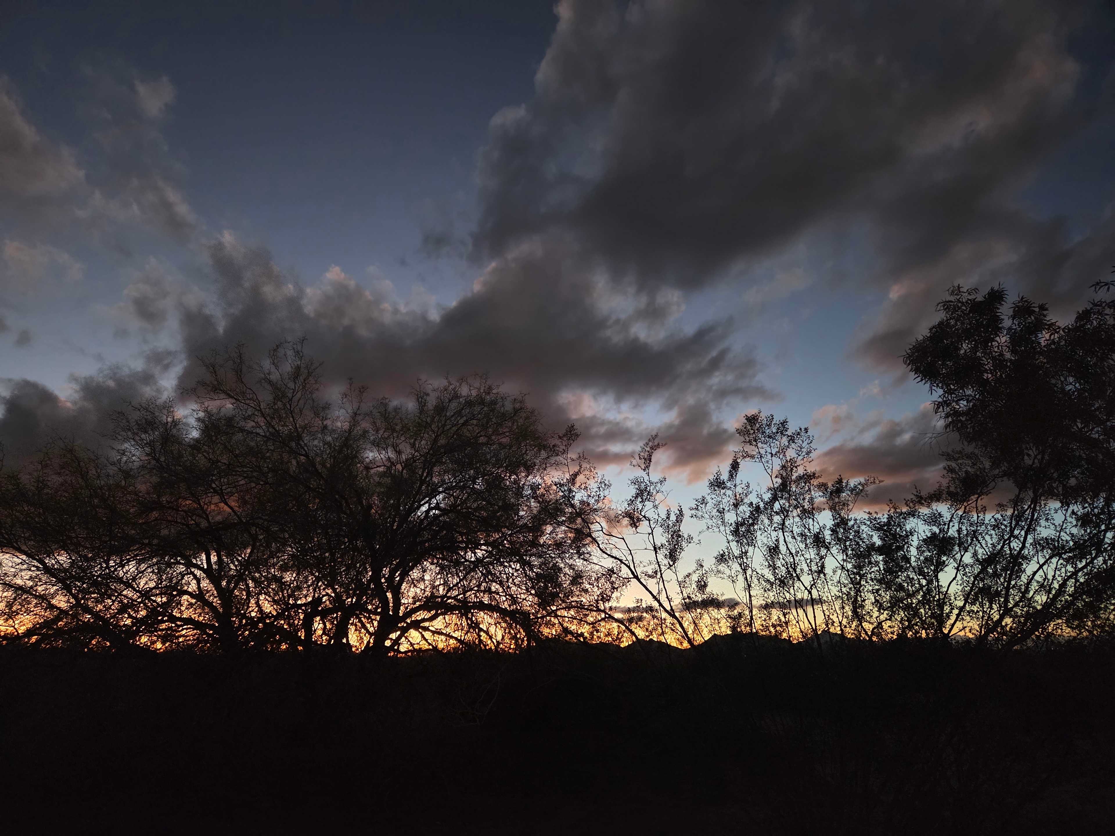 Desert Getaway in Avra Valley