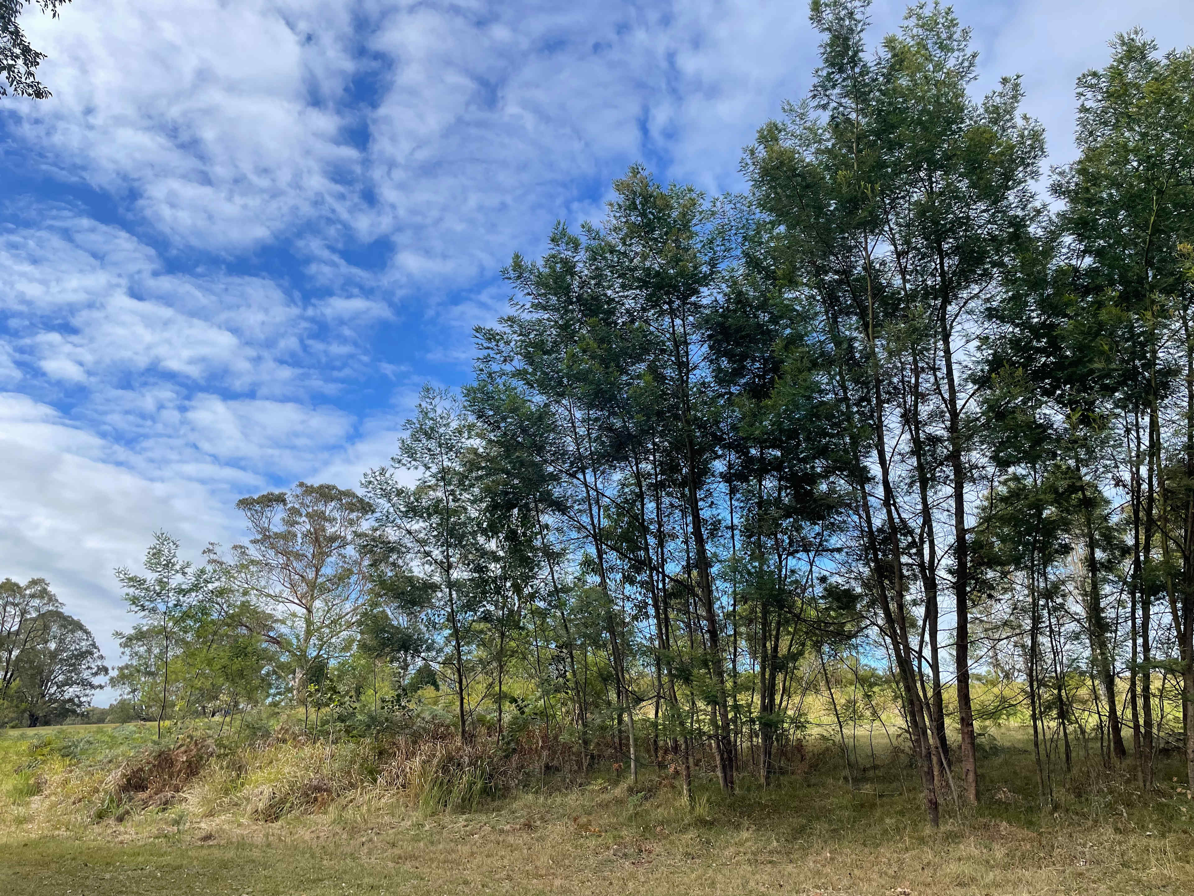 The Hundred Acre Woods