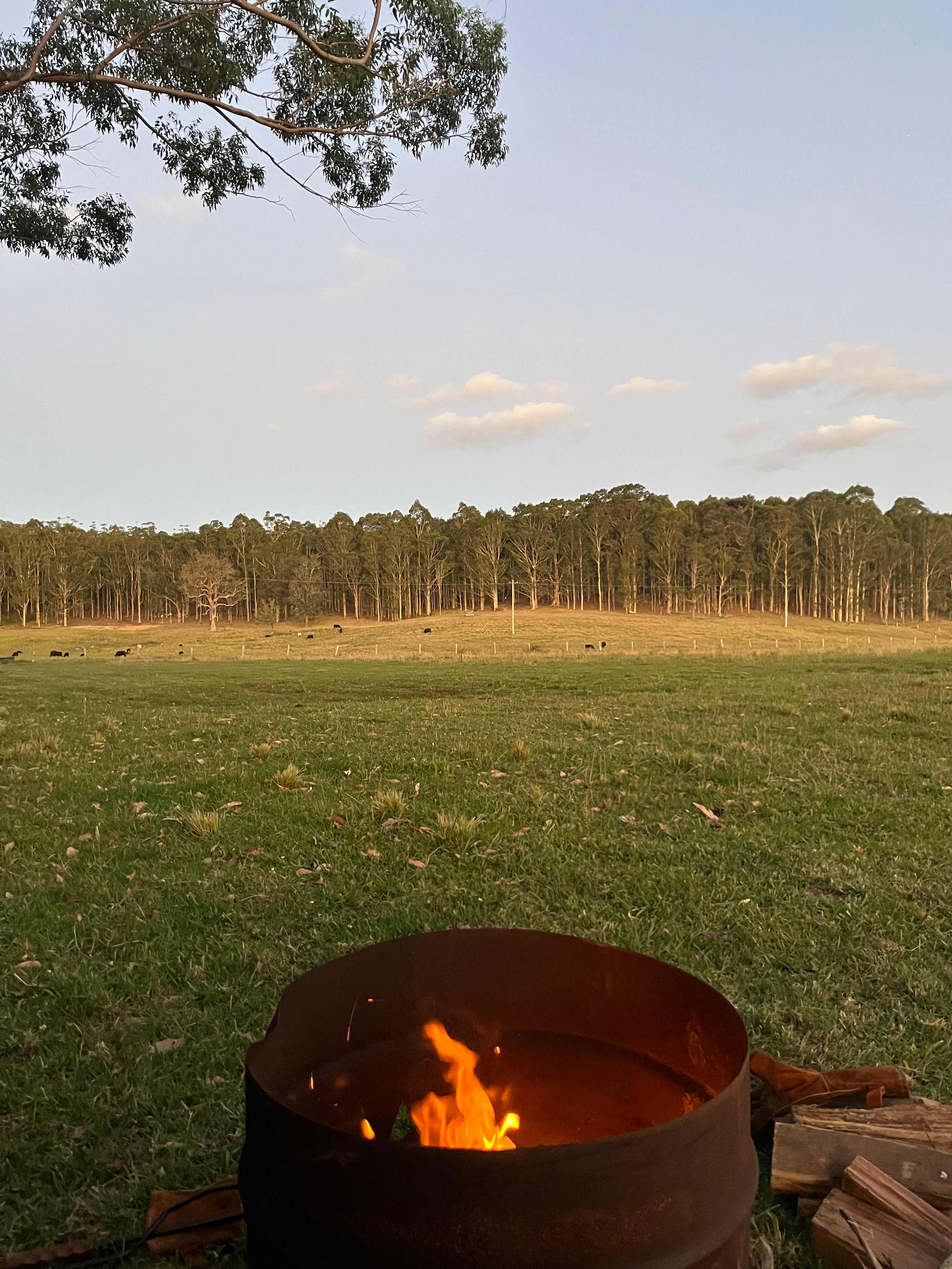 The Wandy Donkey Camp
