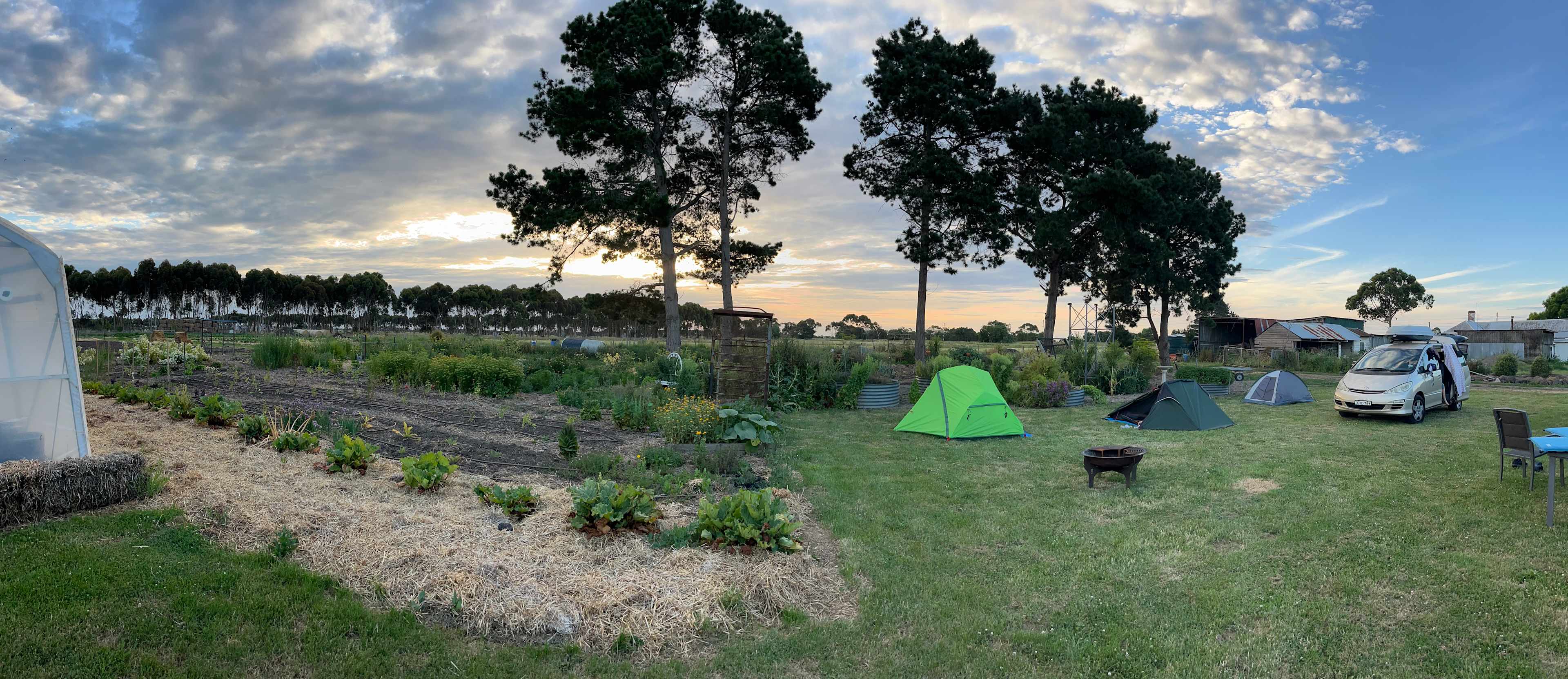 MacKinnon'sBridge veggie patch Camp
