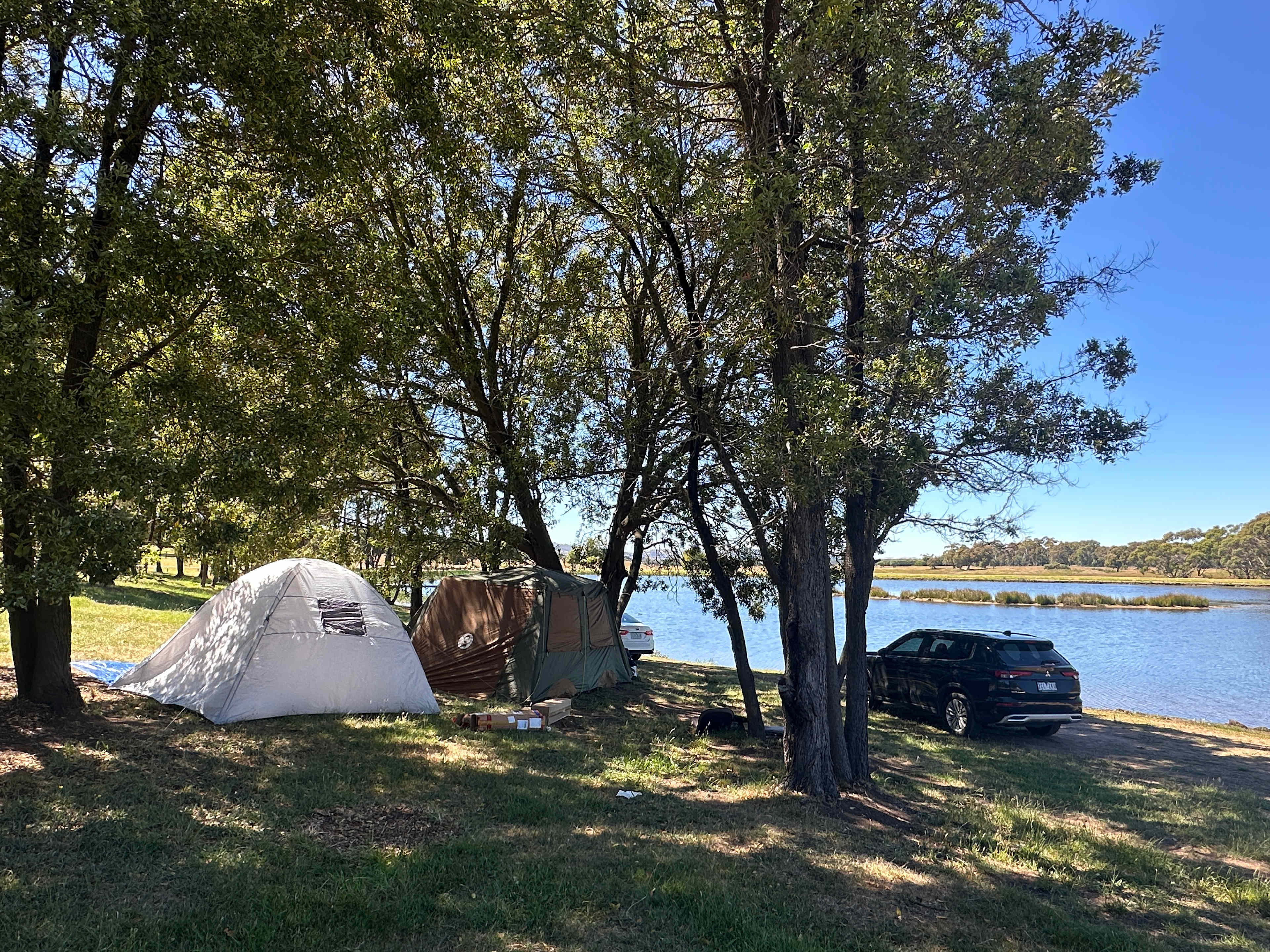 Lancefield Lake's A WETLANDS WONDER