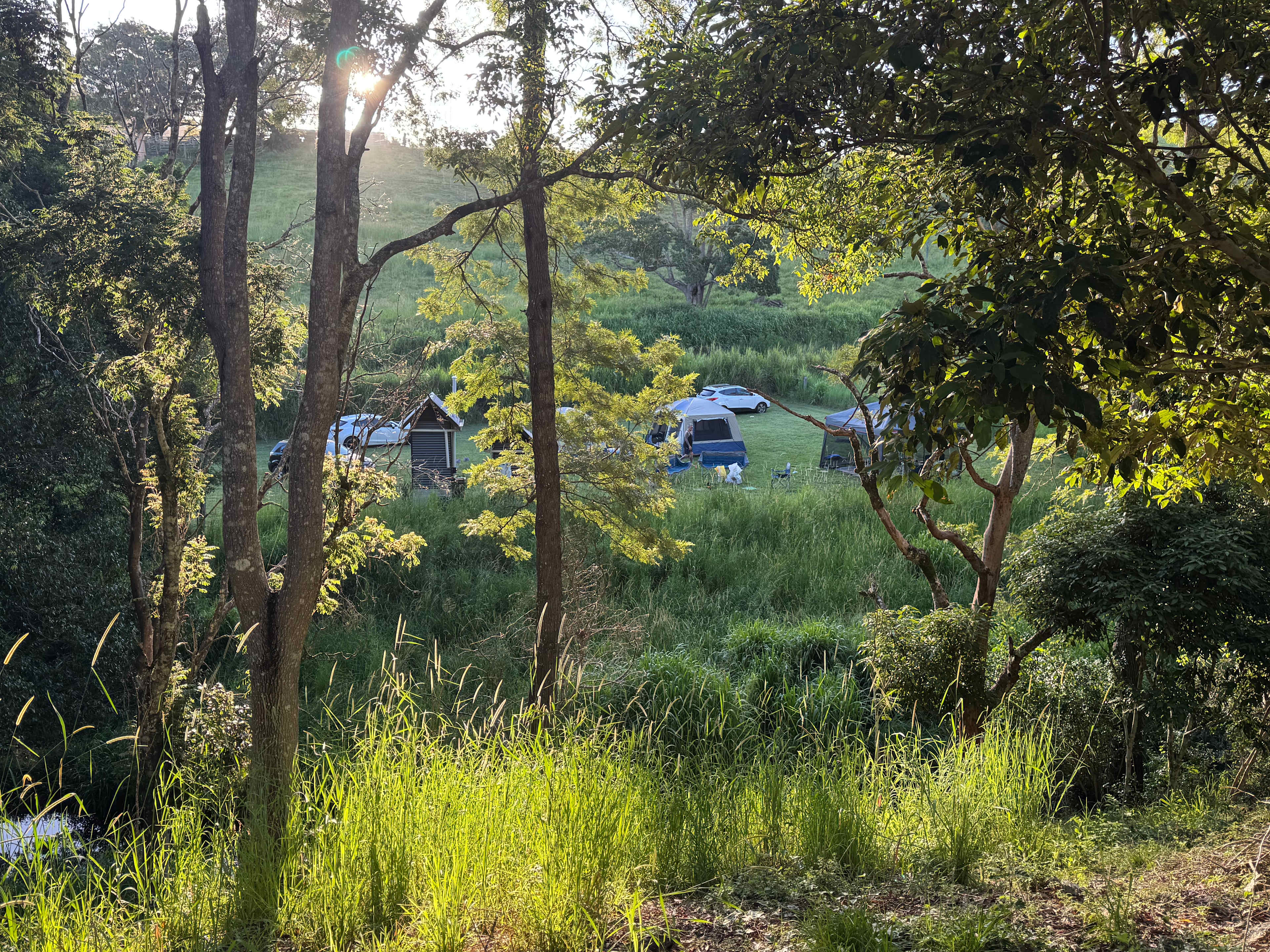 McKenzie Creek Campsite