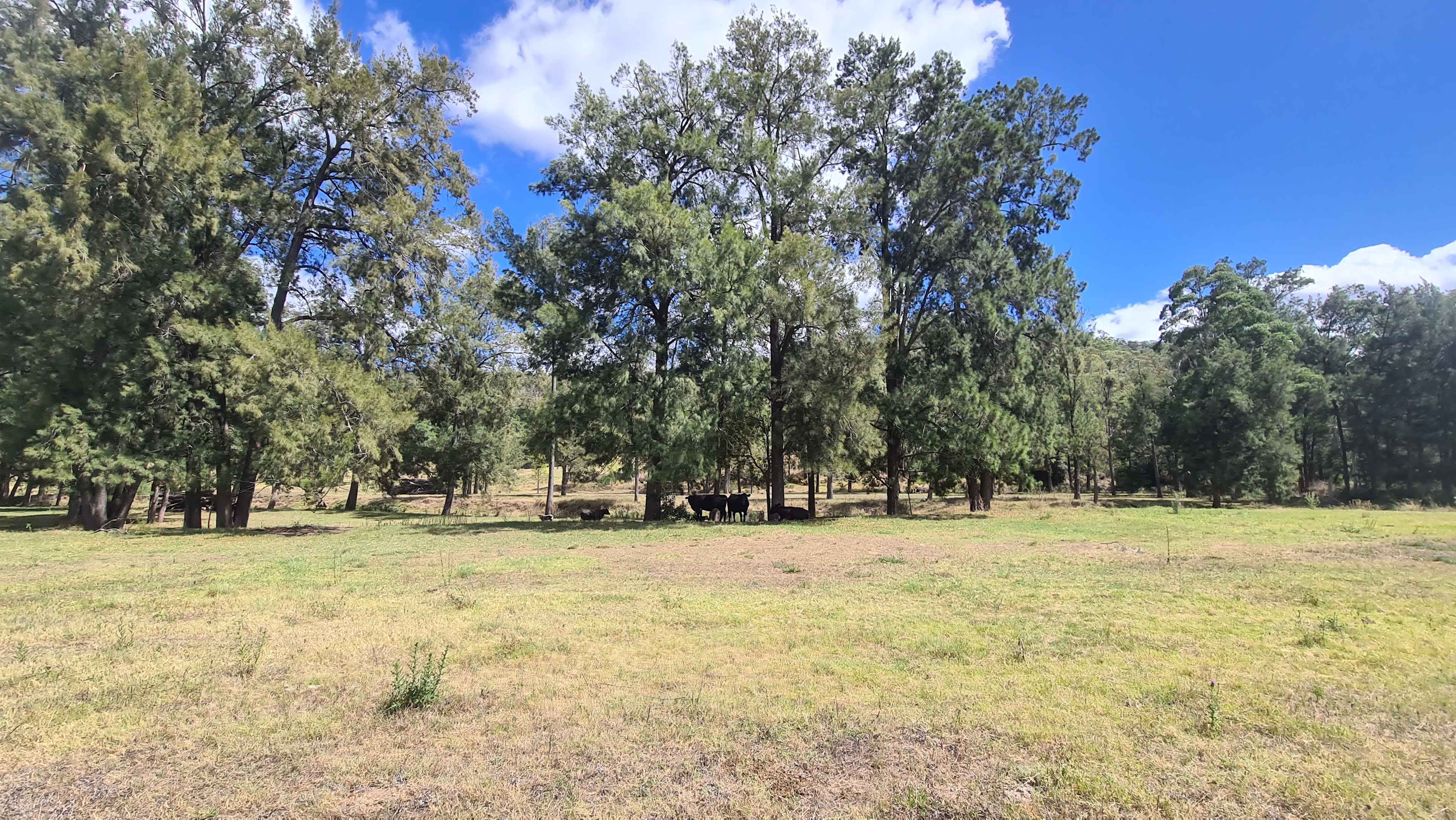 Hedley Hideaways - Thompson's camp