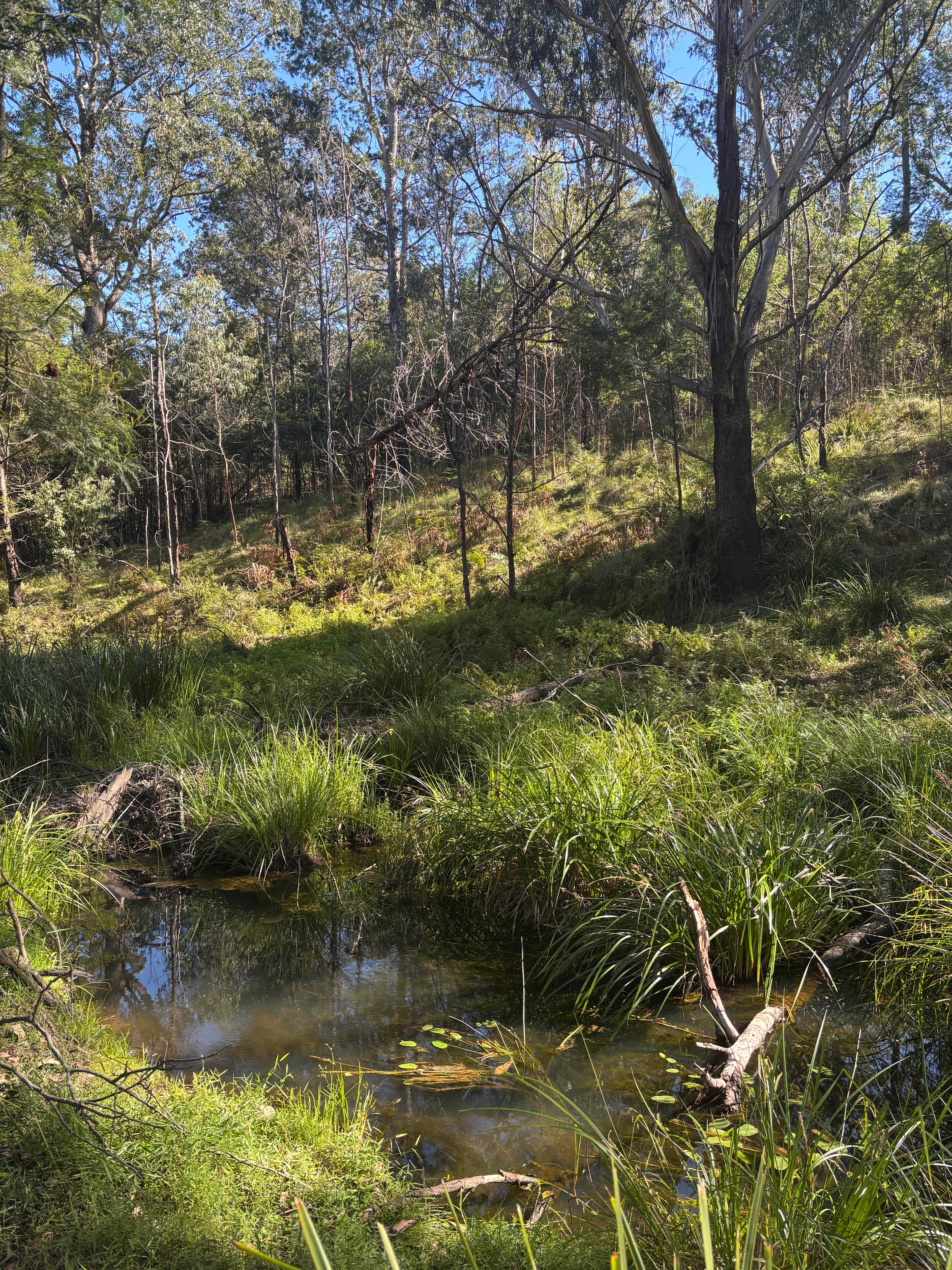 The Hundred Acre Woods