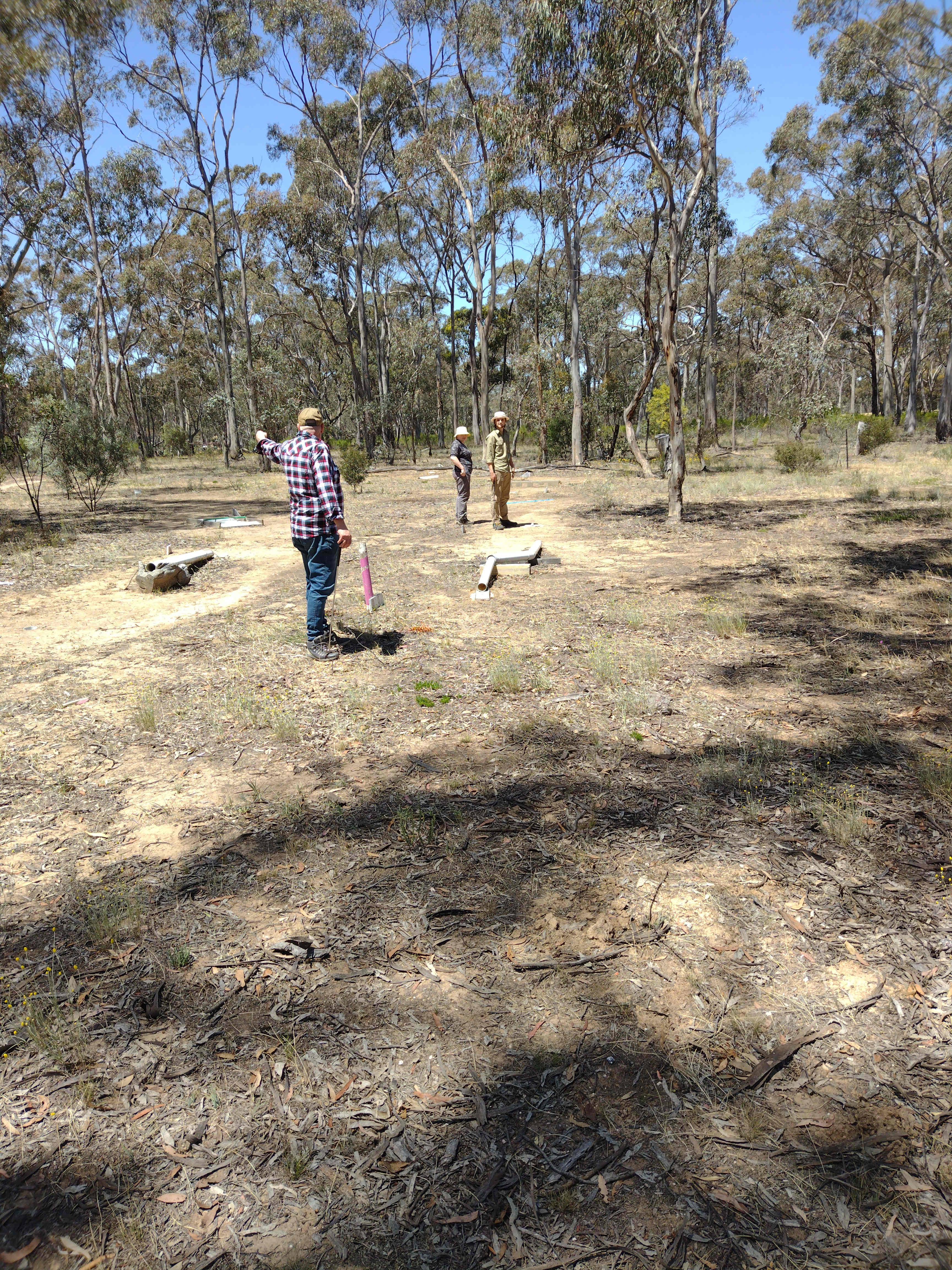 Lovely Bush Property