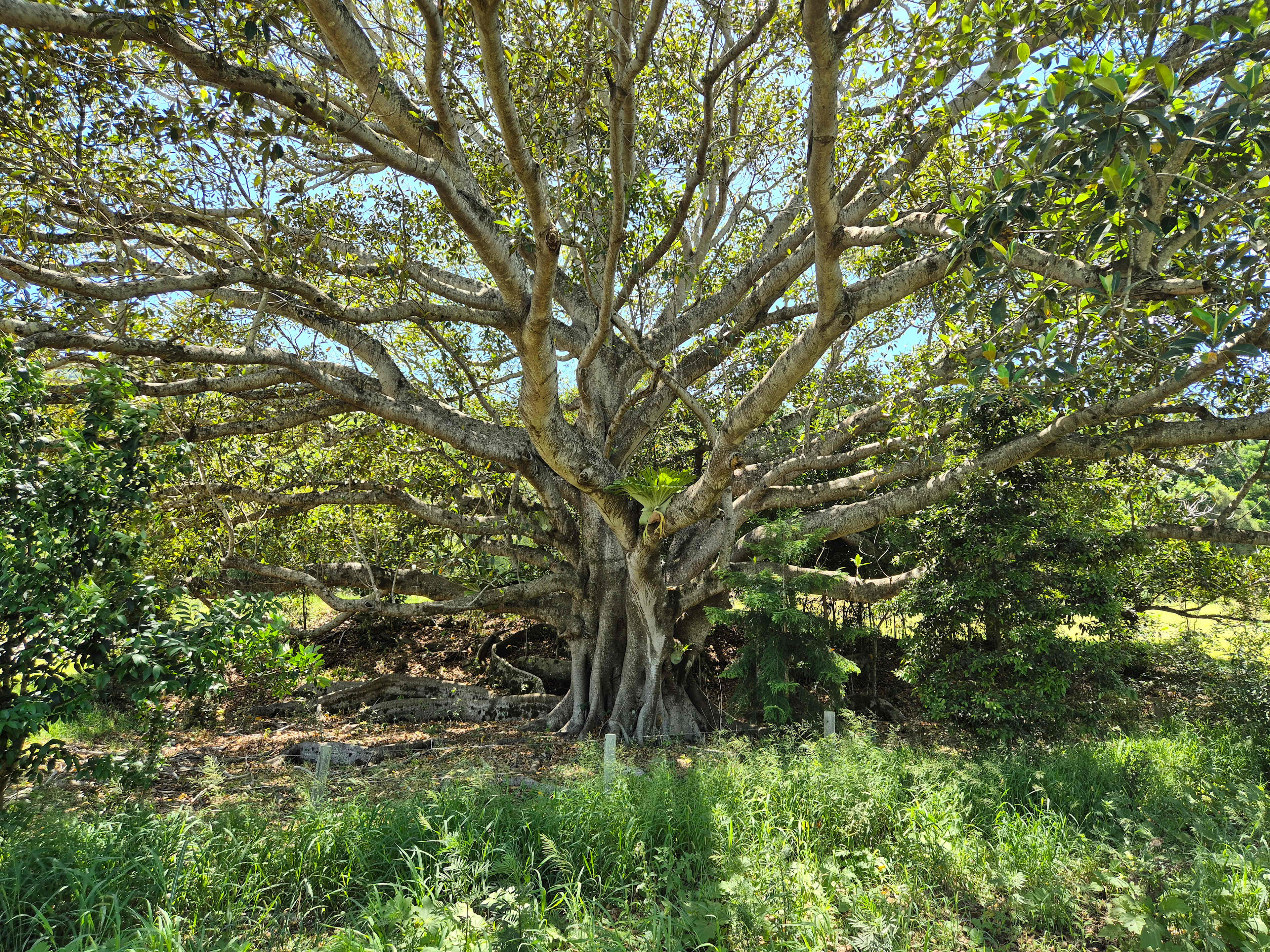 Estate Lodges Caravan & Camping