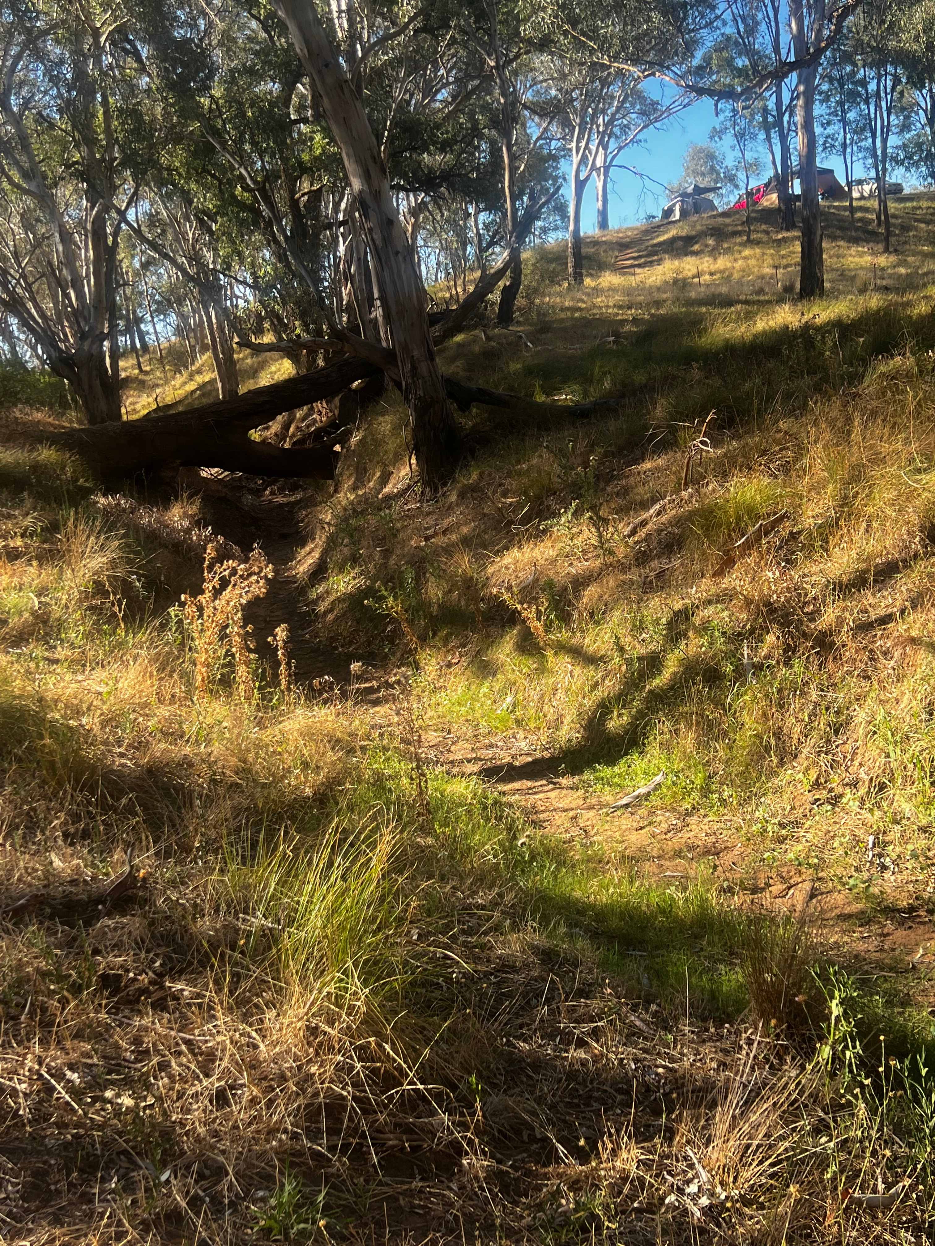 Cadagi Farm Stay in Central West NSW