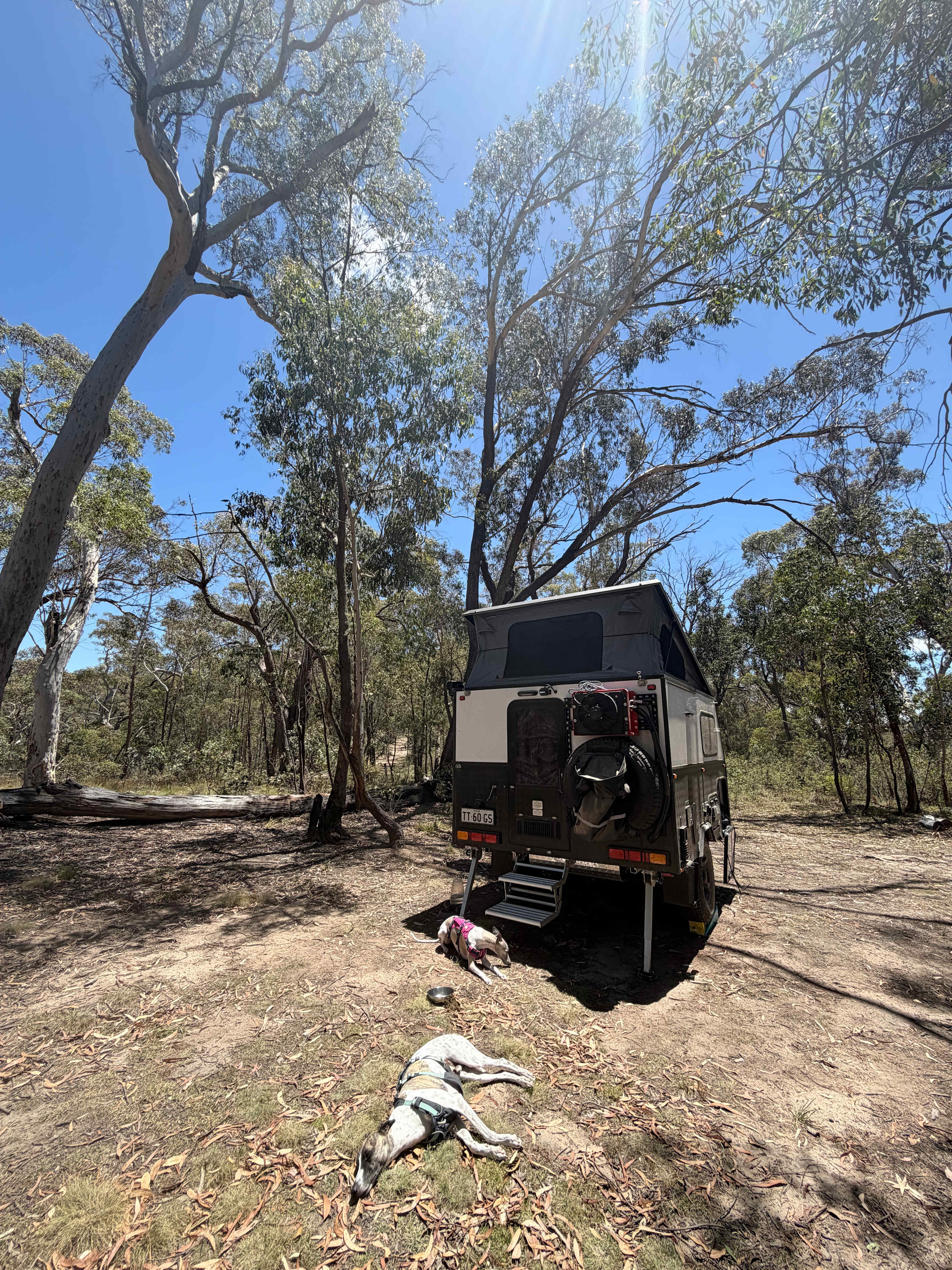 Monastery of 11 Strings