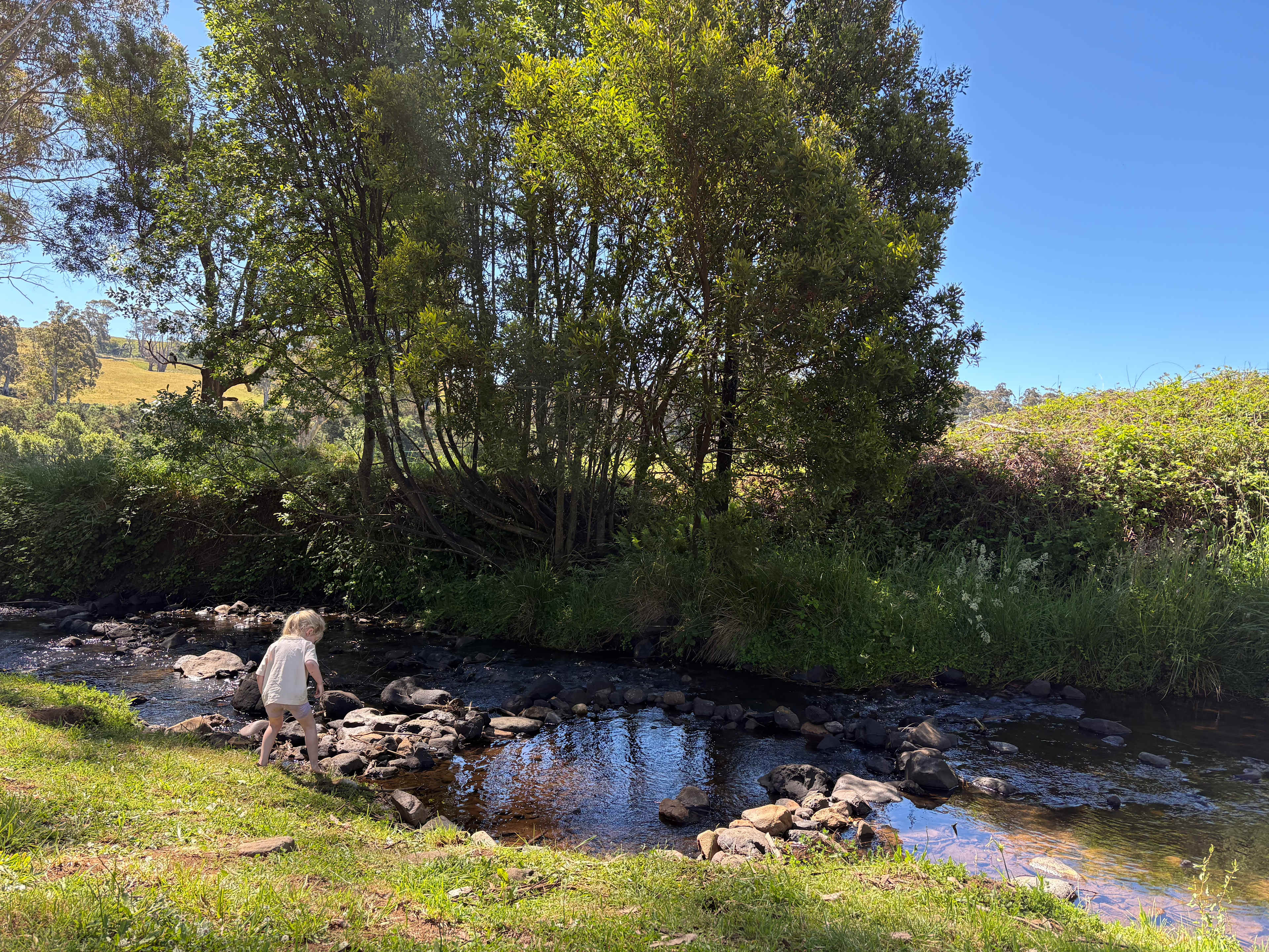 Blythe River Campground