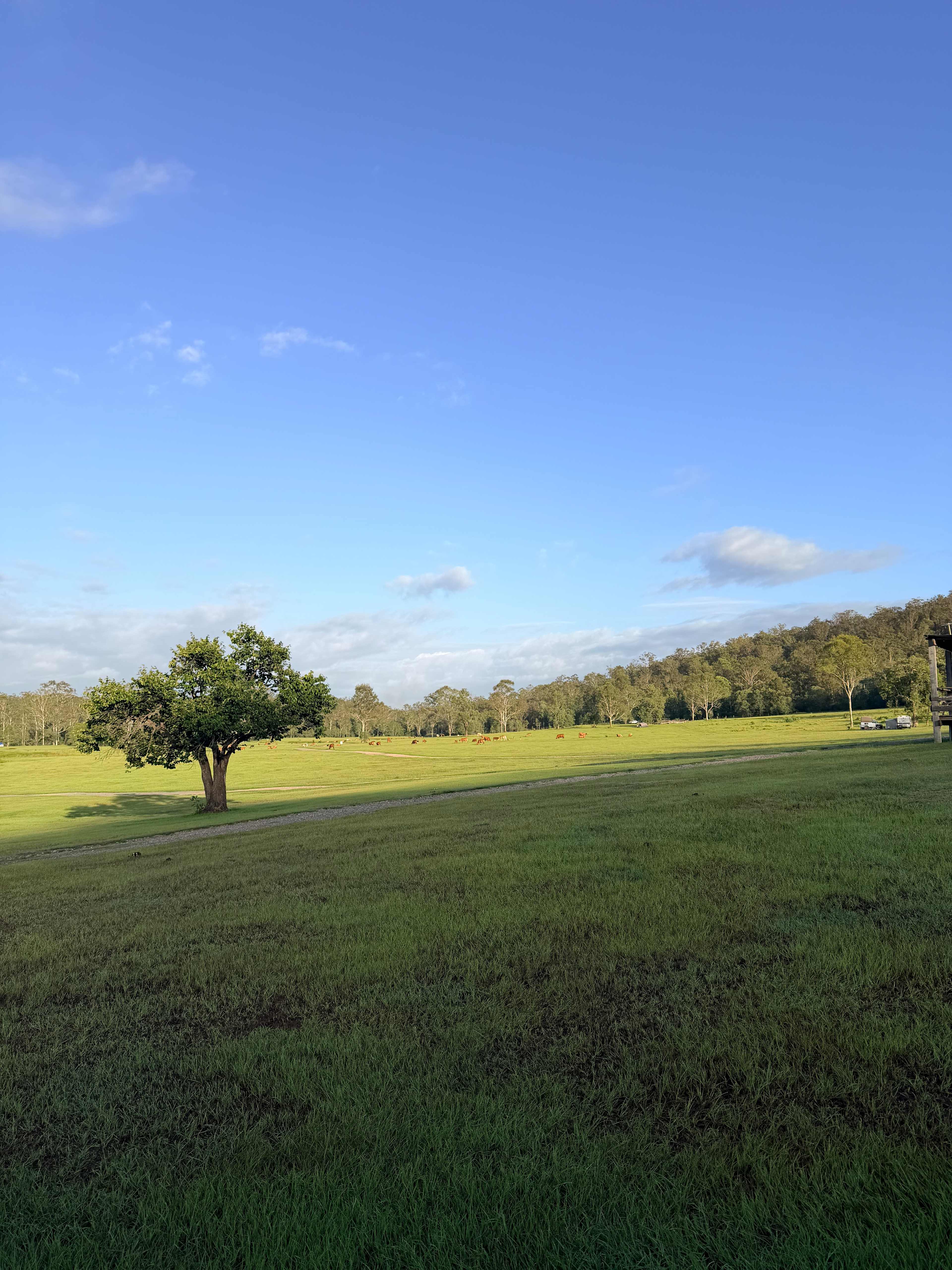 Gootchie Creek Escape