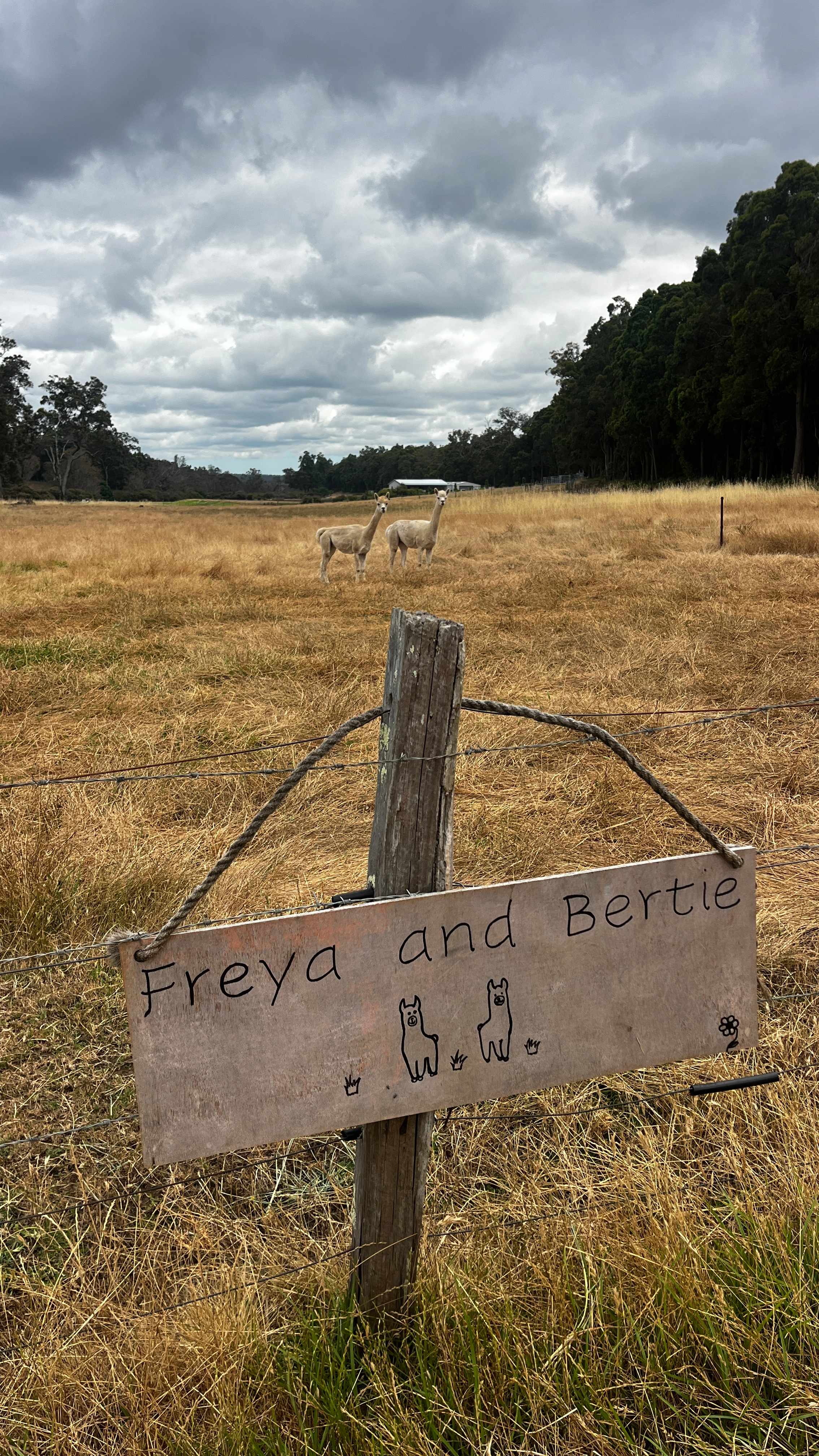 Old O’Donnells Farm