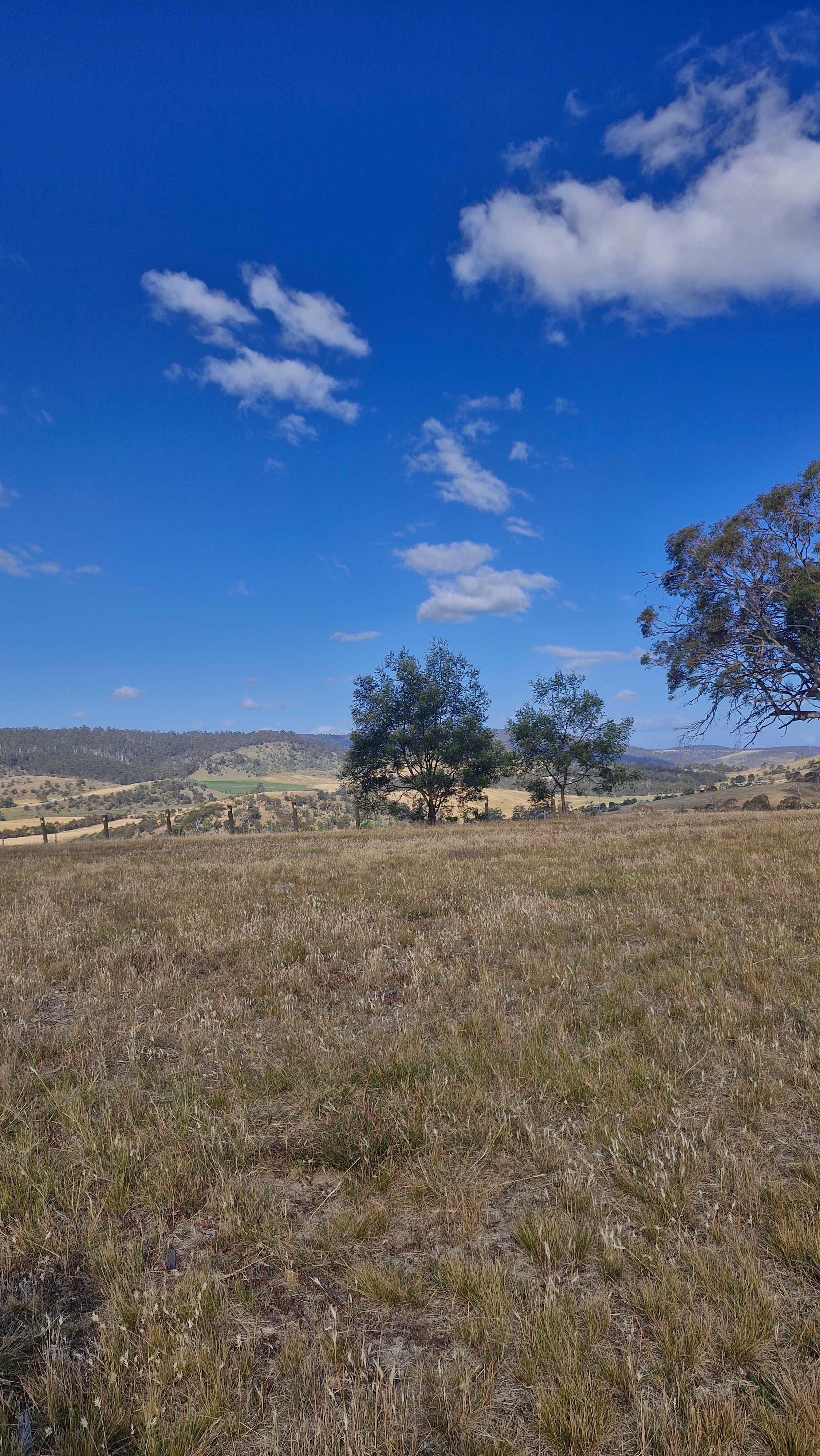 Prossers Ridge Richmond