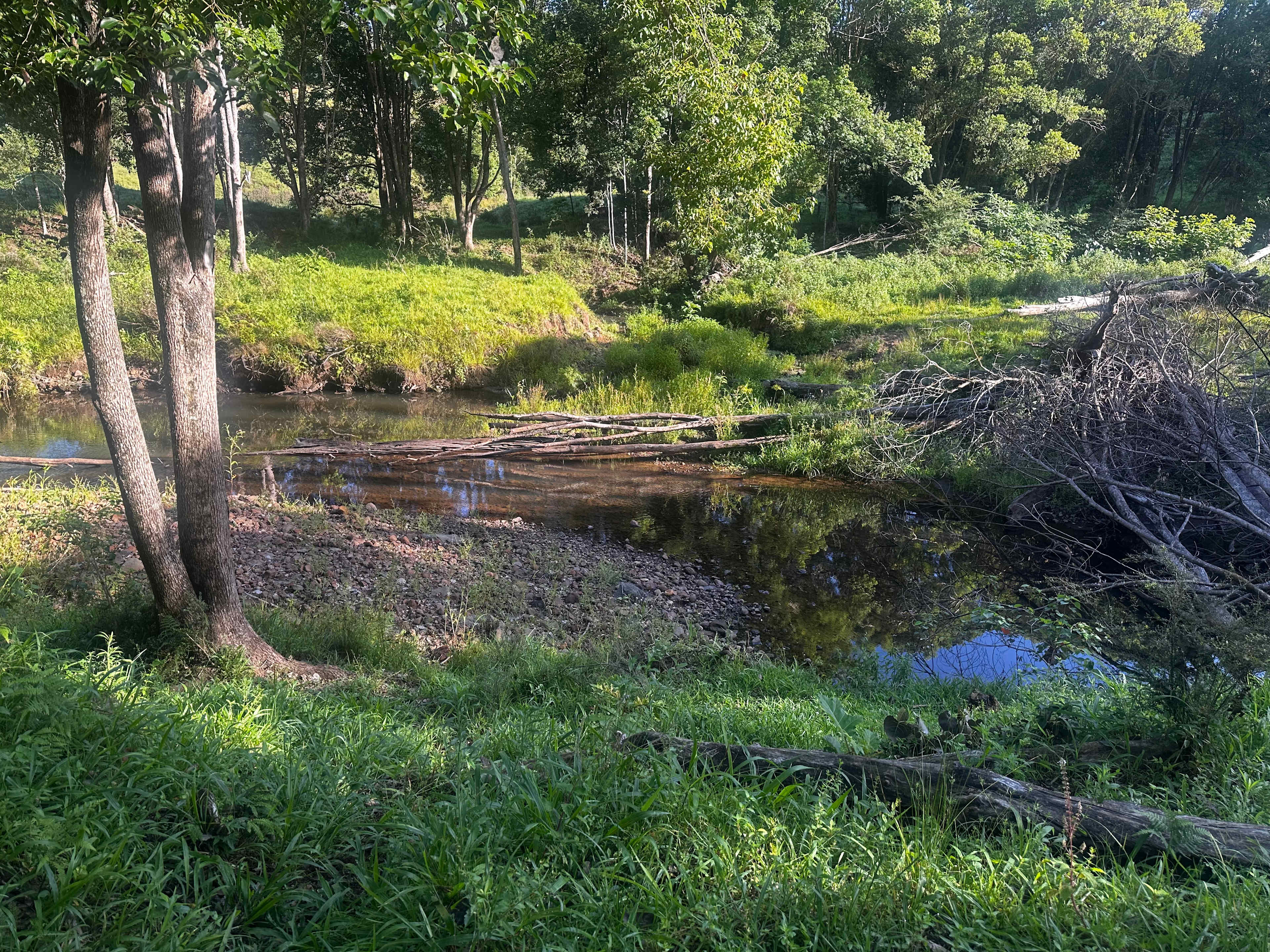 Eagles Nest Hideaway, Pecan Fields