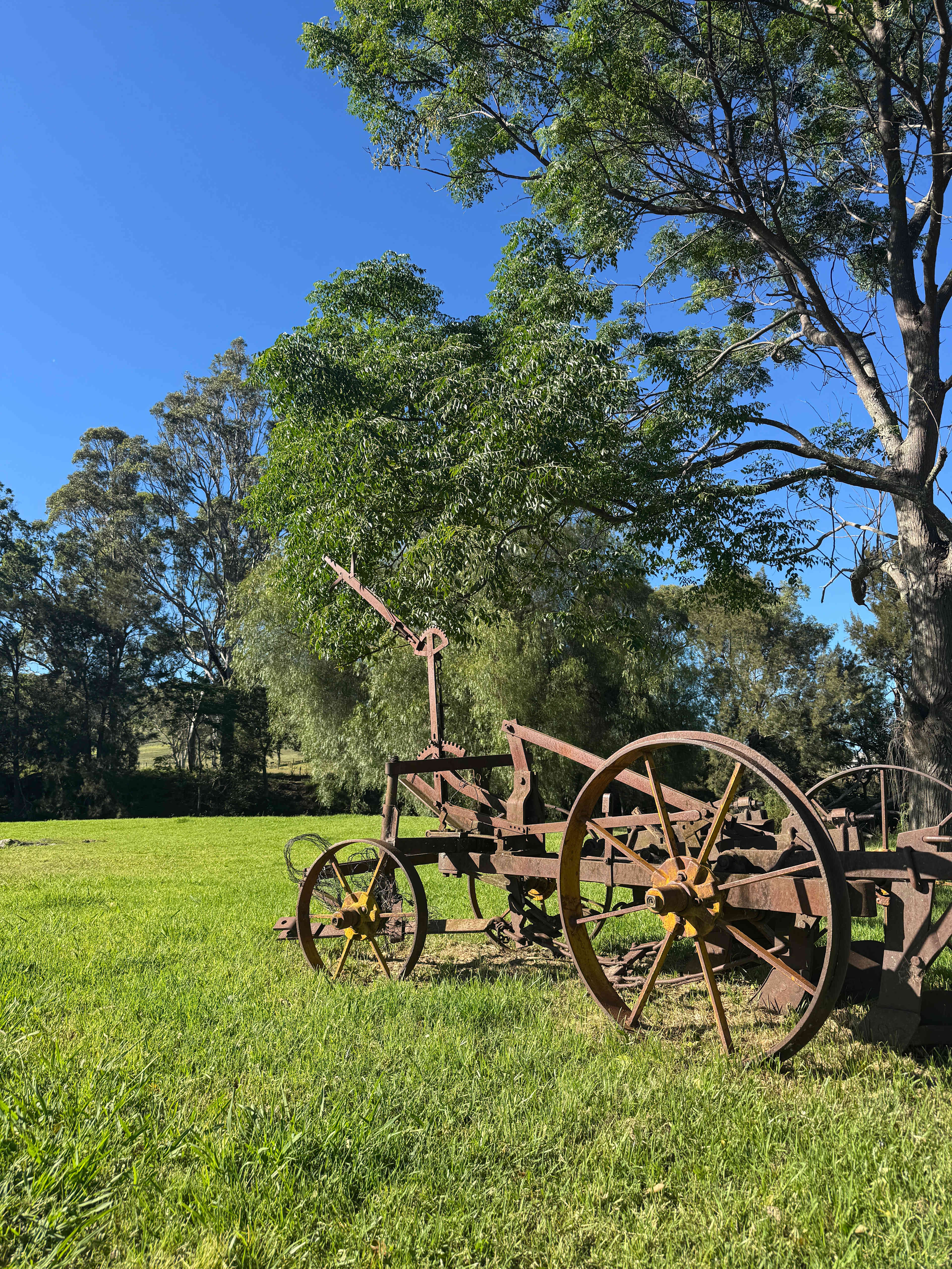 Wynola Country Cousins