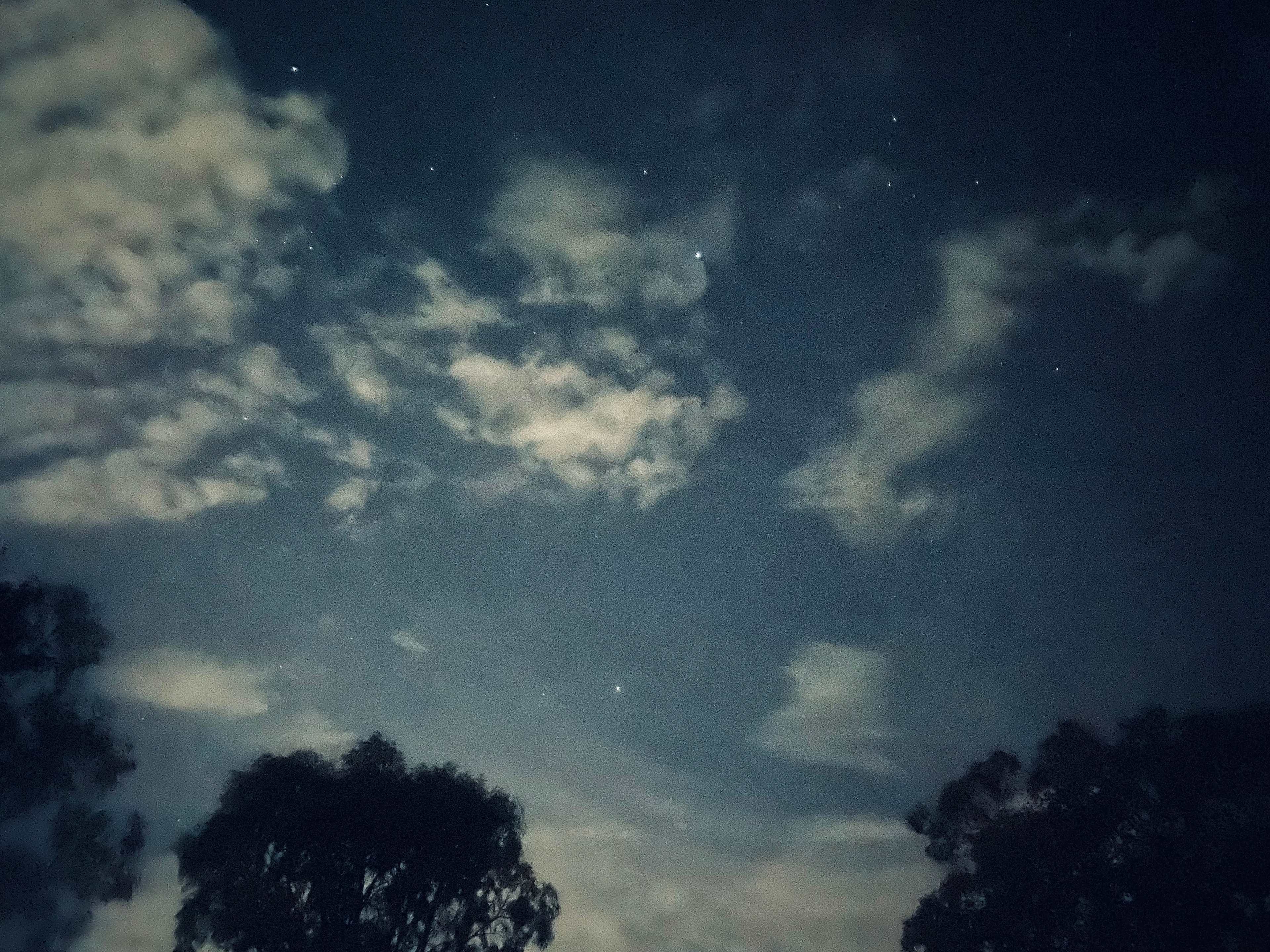 Reedy Lakes Farm Stay