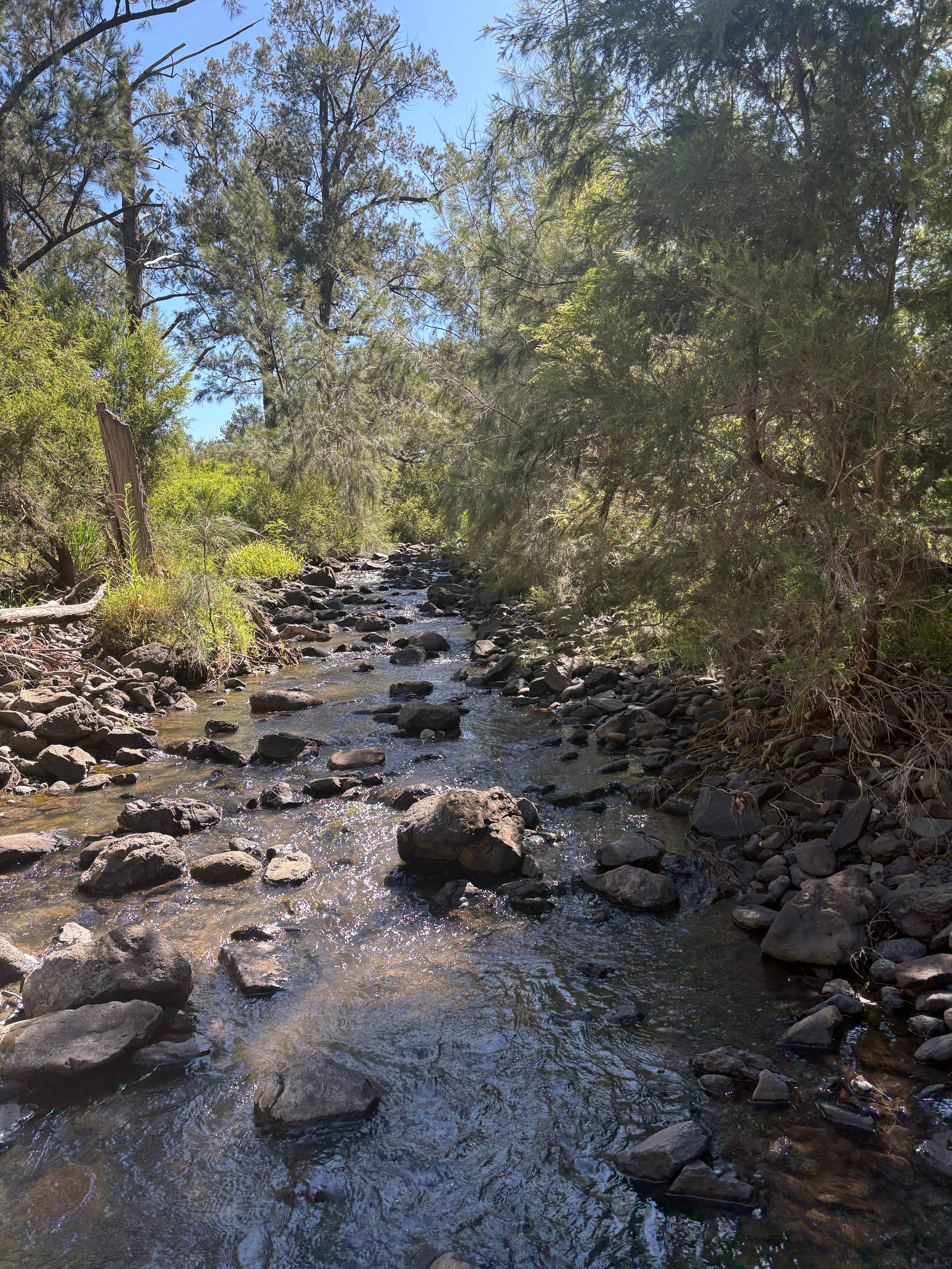 Gleneden Farm - Heritage Produce