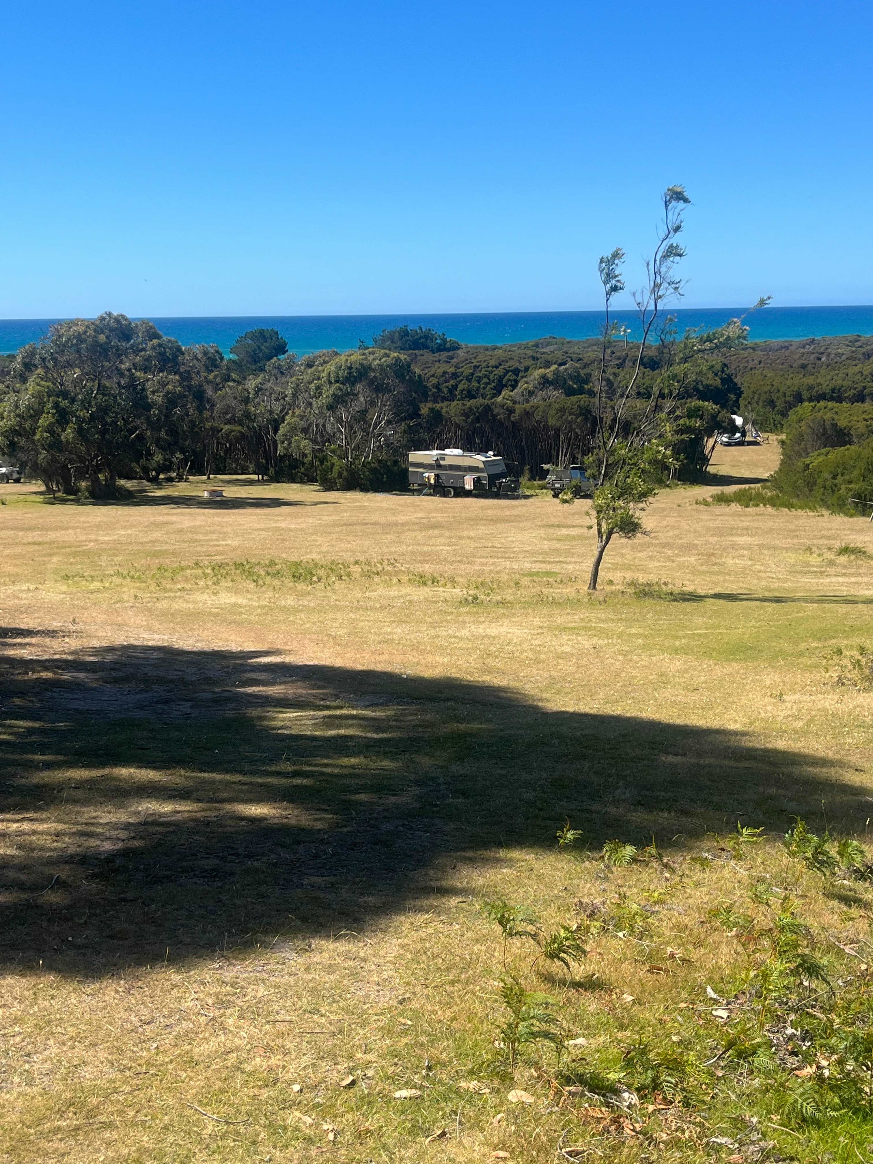 The Y at Badger Head