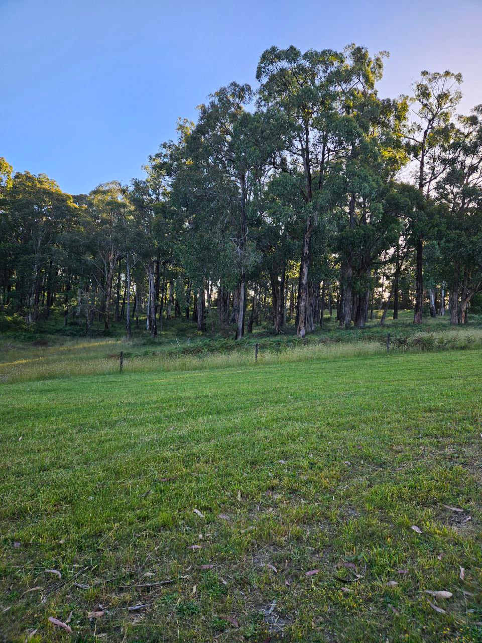 Otways Farm Hideaway