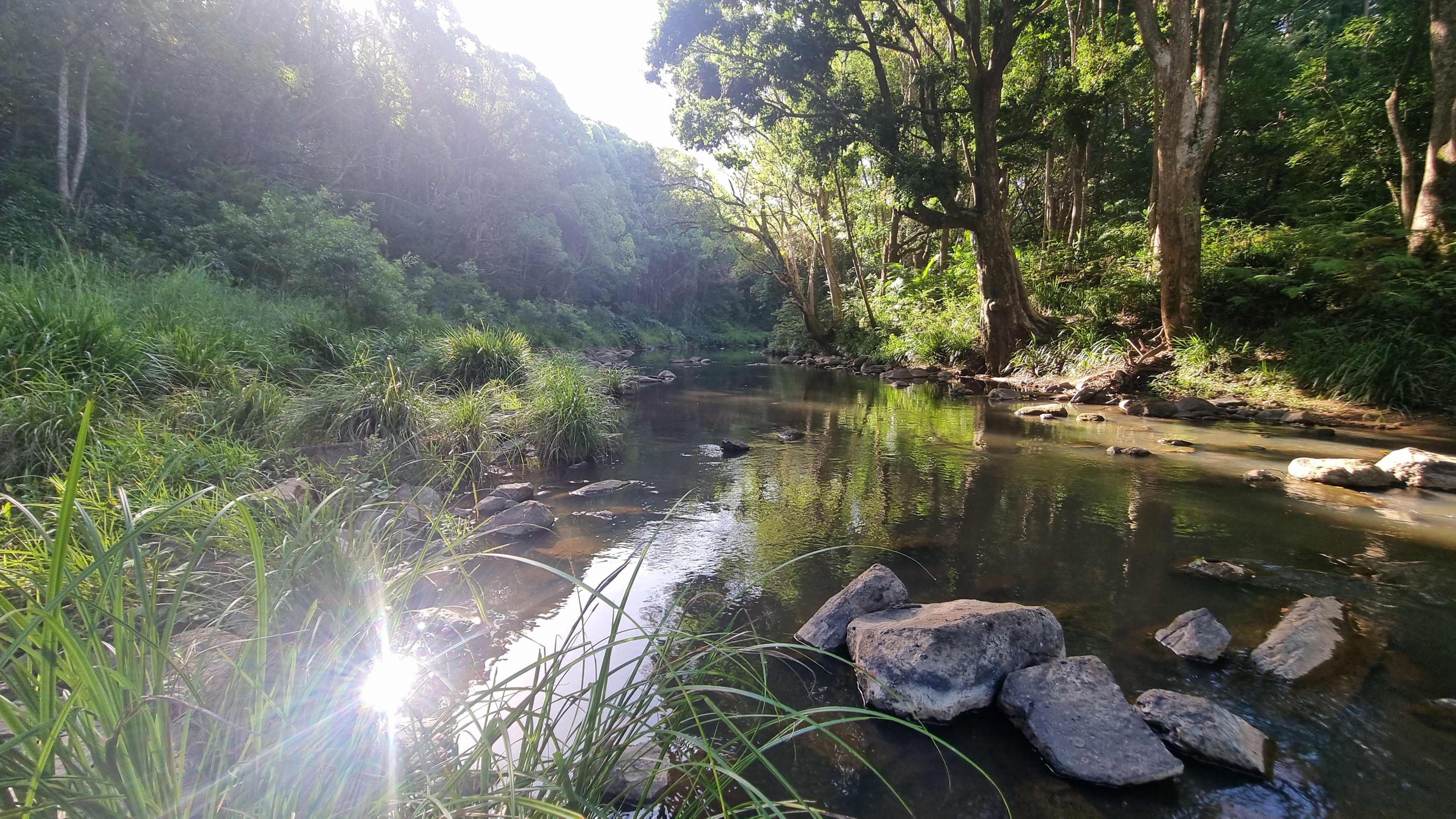 Jessria Shalom Nature Farm