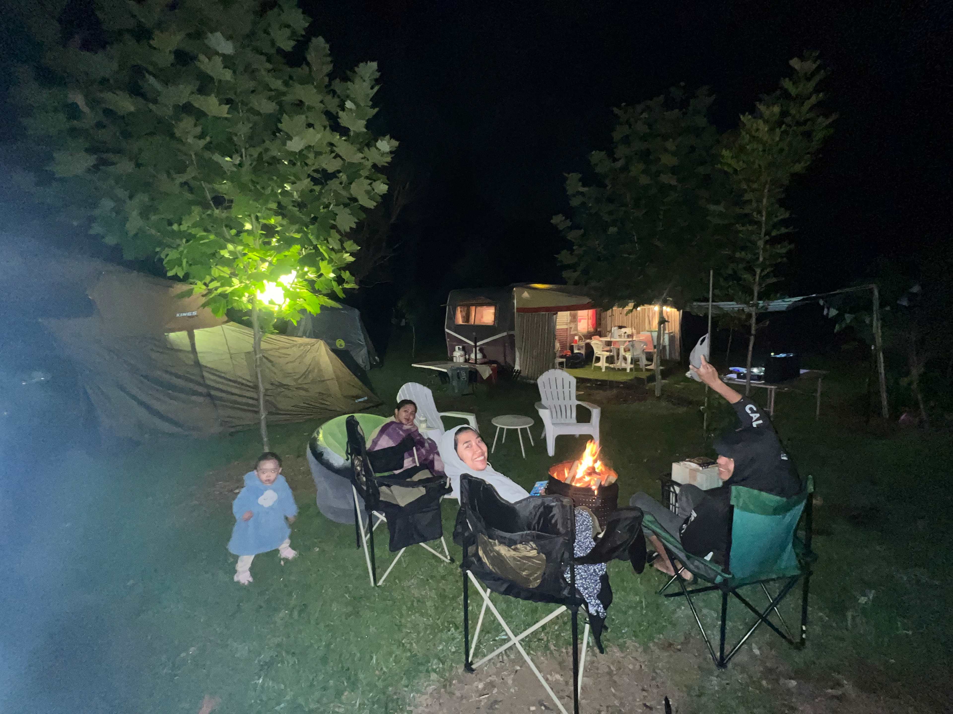 Silky Oaks Flower Farm