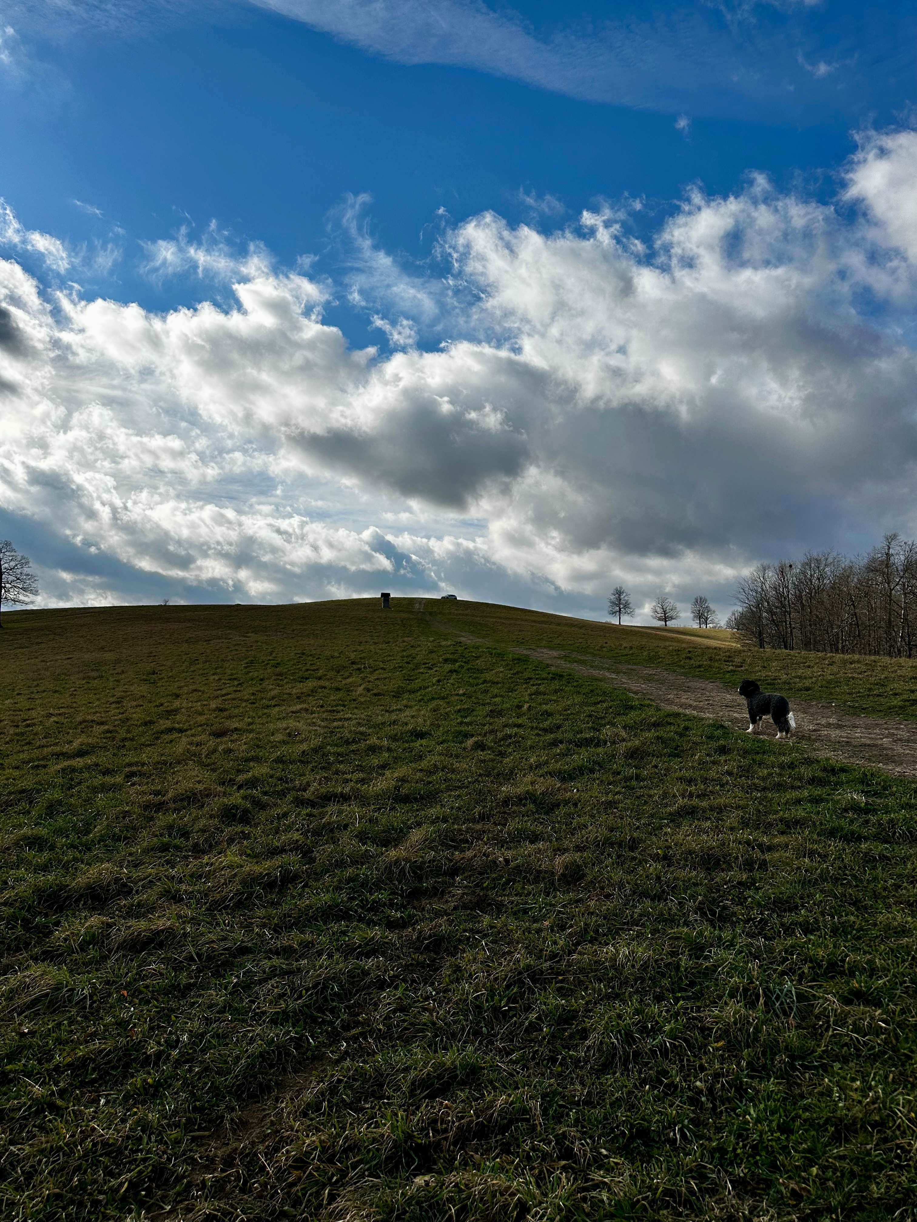 Wilderness Rider Buffalo Ranch
