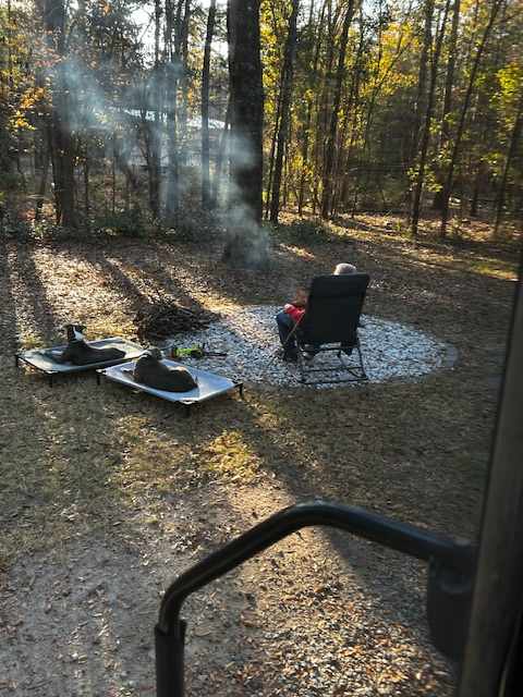 Lowcountry Live Oaks.