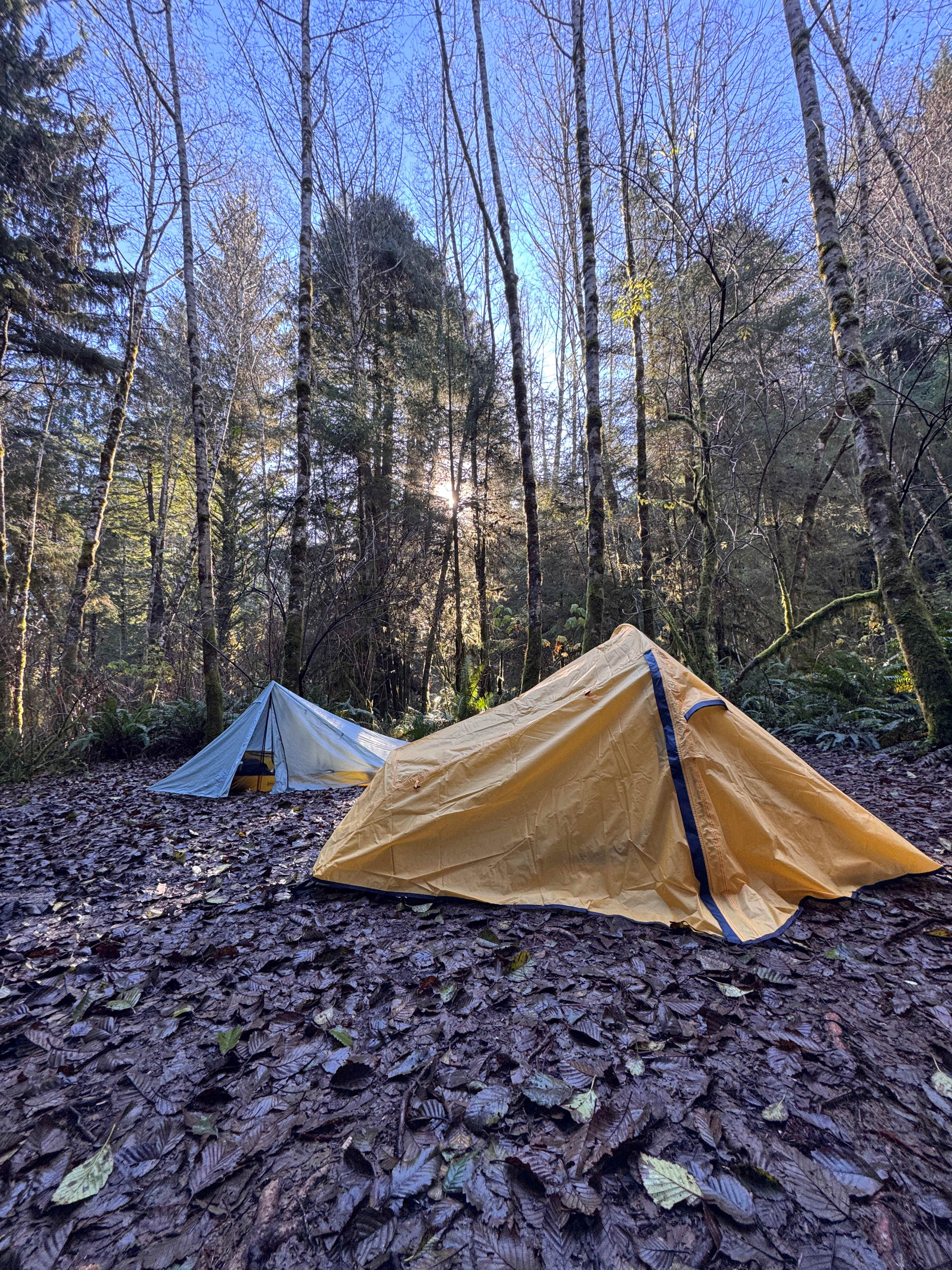 Mystic Forest Campground