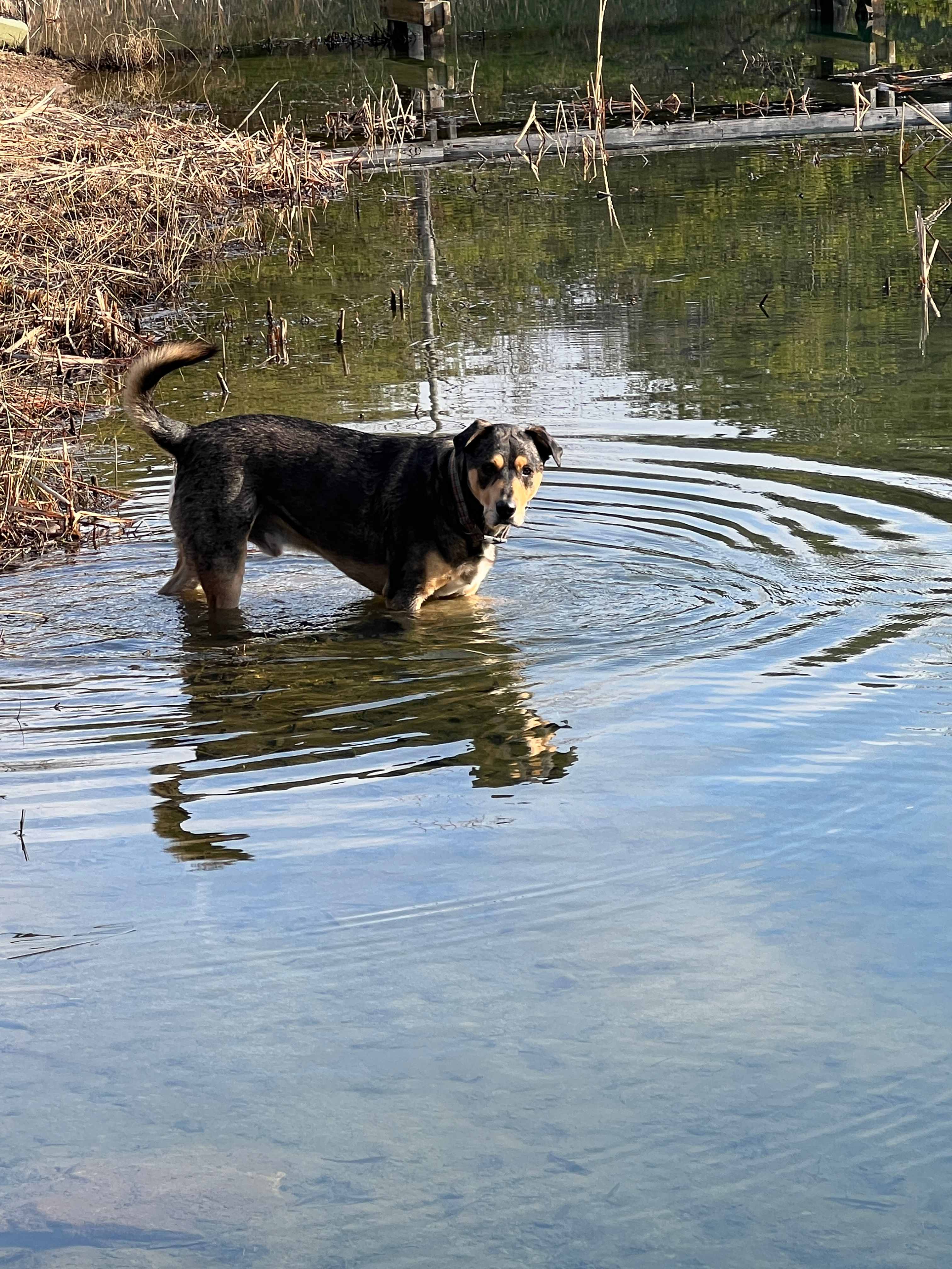 The Harrican Lakehouse