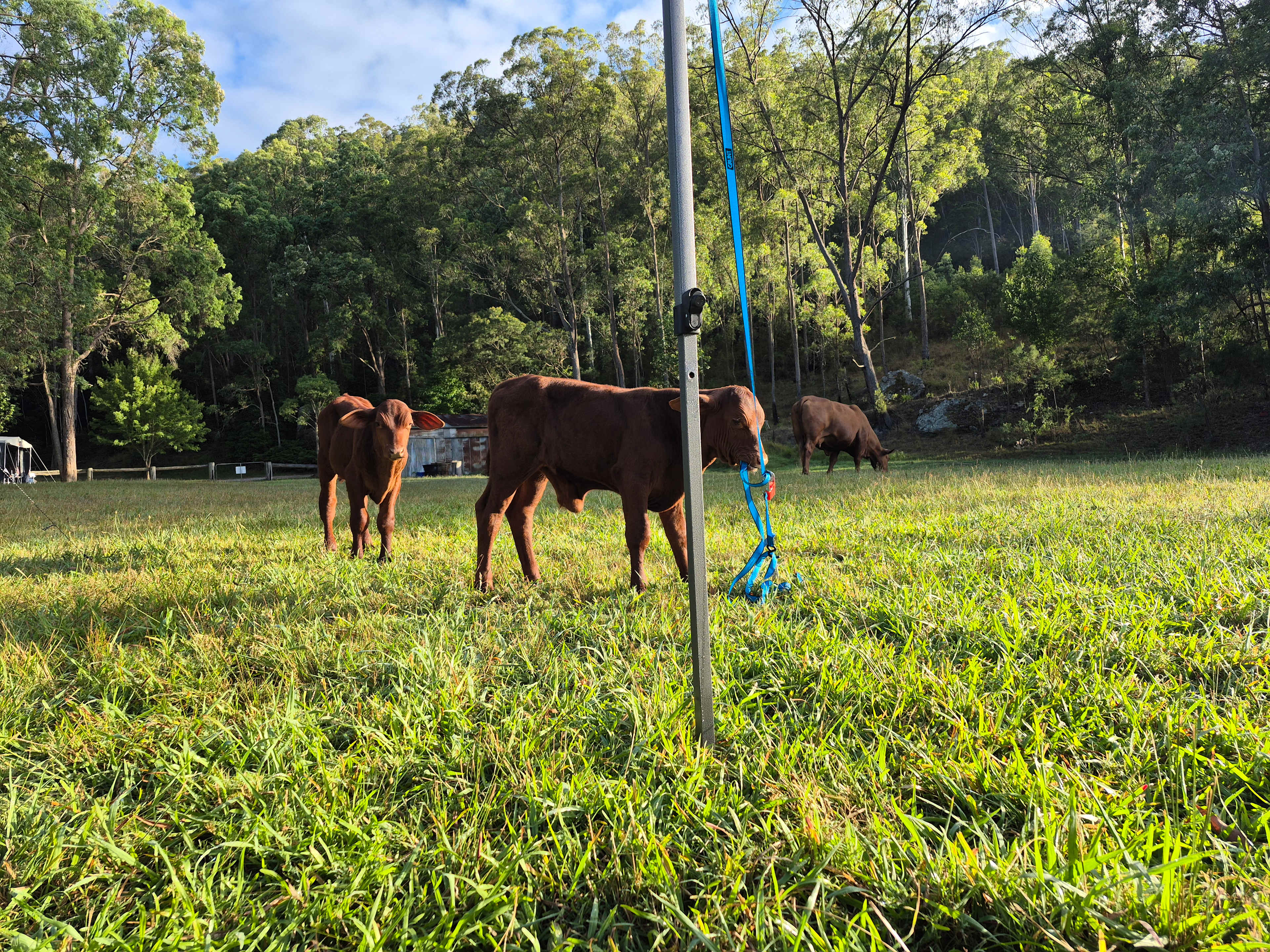 Cranky Rock Hunter Valley