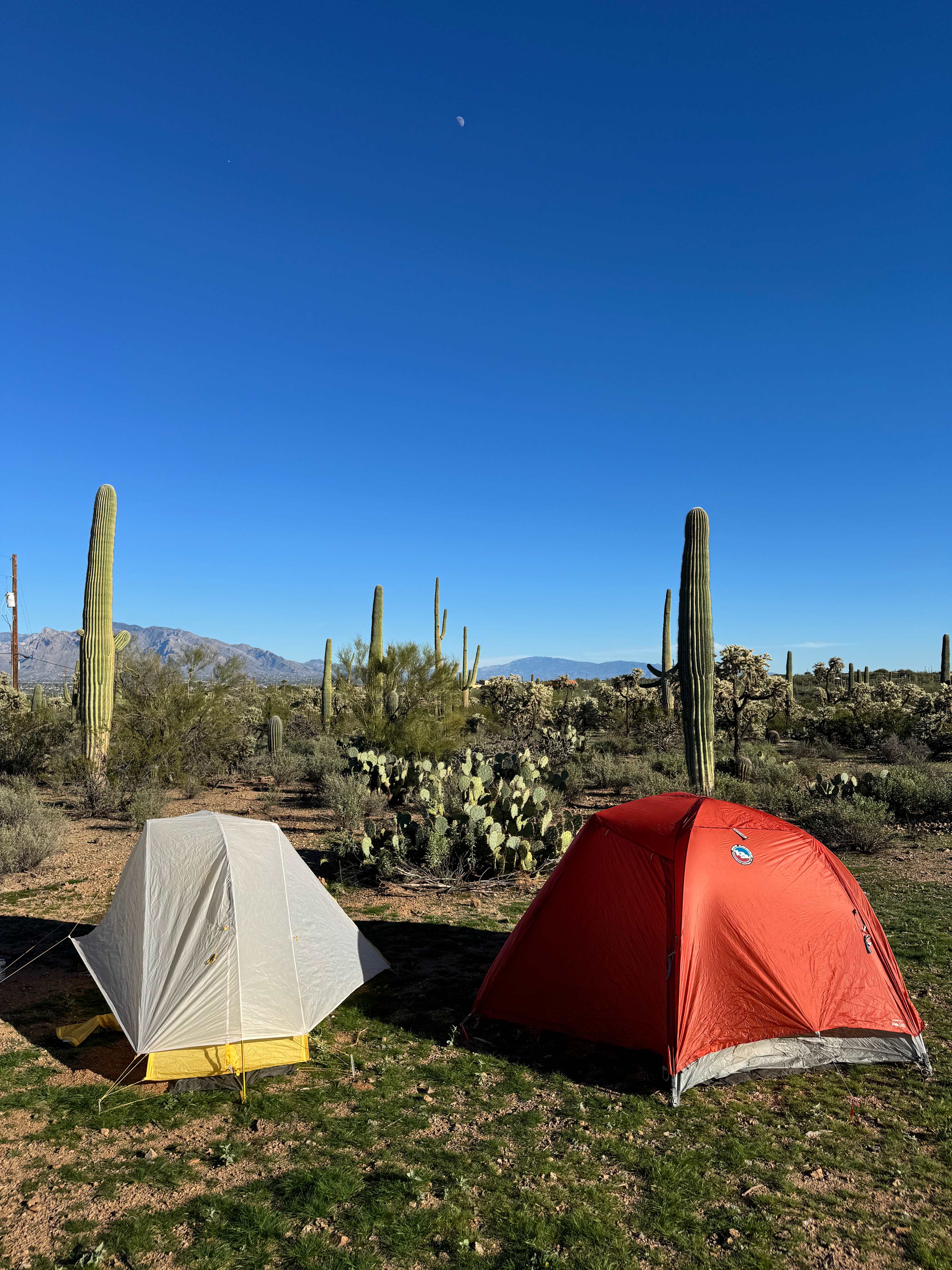 Saguaro  Sky Ranch